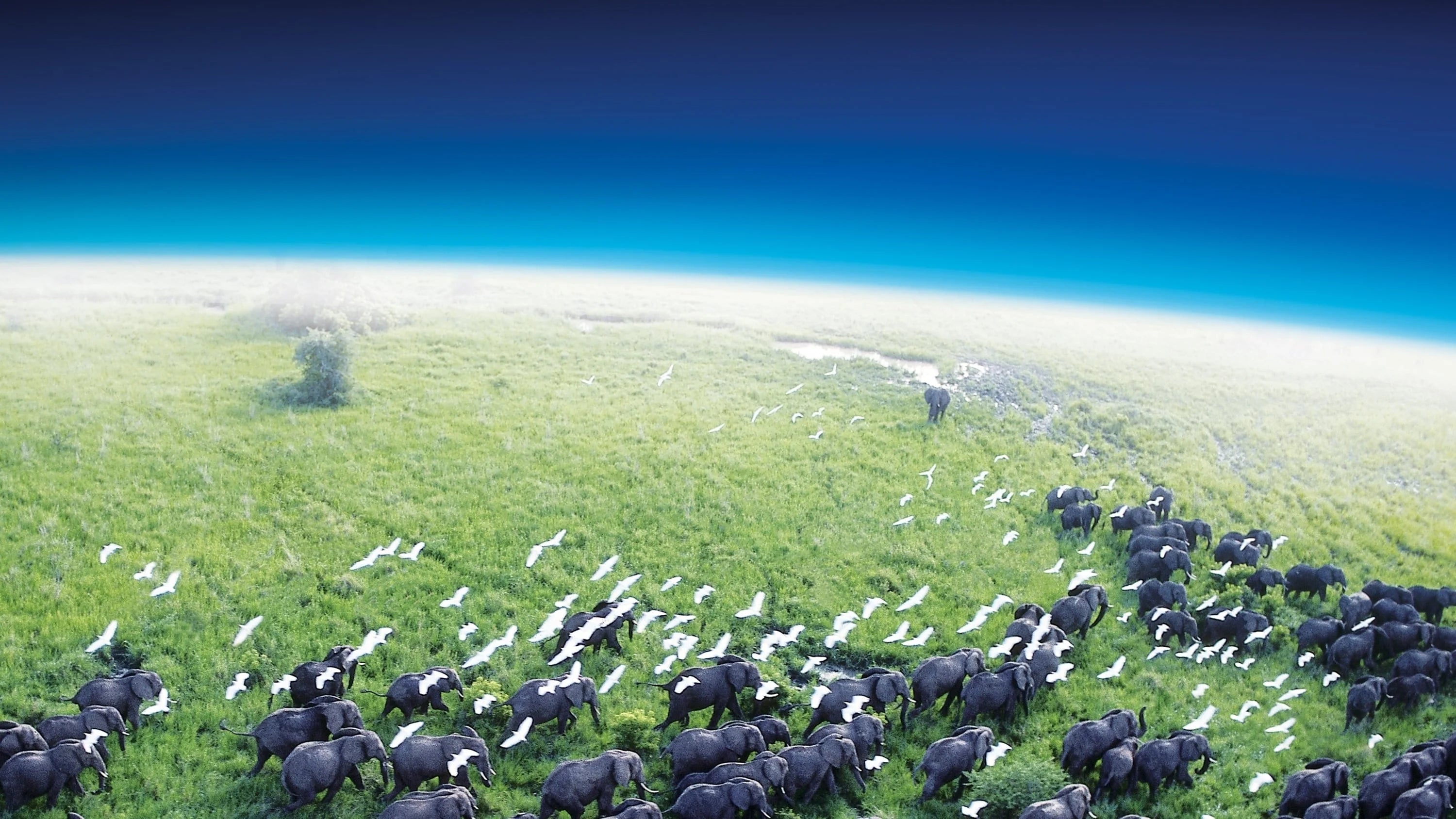 Perfect Planet Earth (2006) Man Cave wall filler - Popcorn Poster Gallery