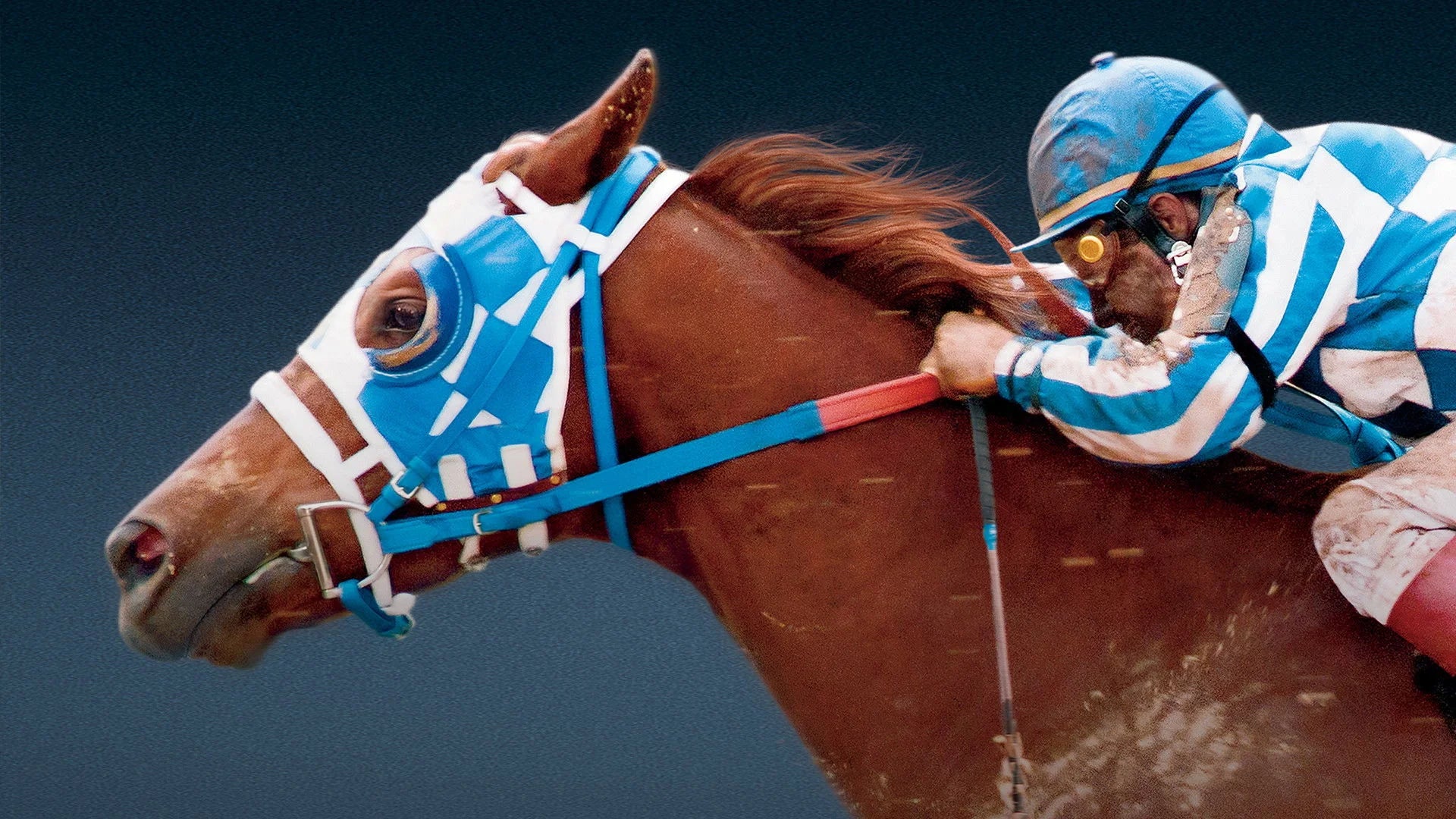 Perfect Secretariat (2010) Man Cave wall filler - Popcorn Poster Gallery