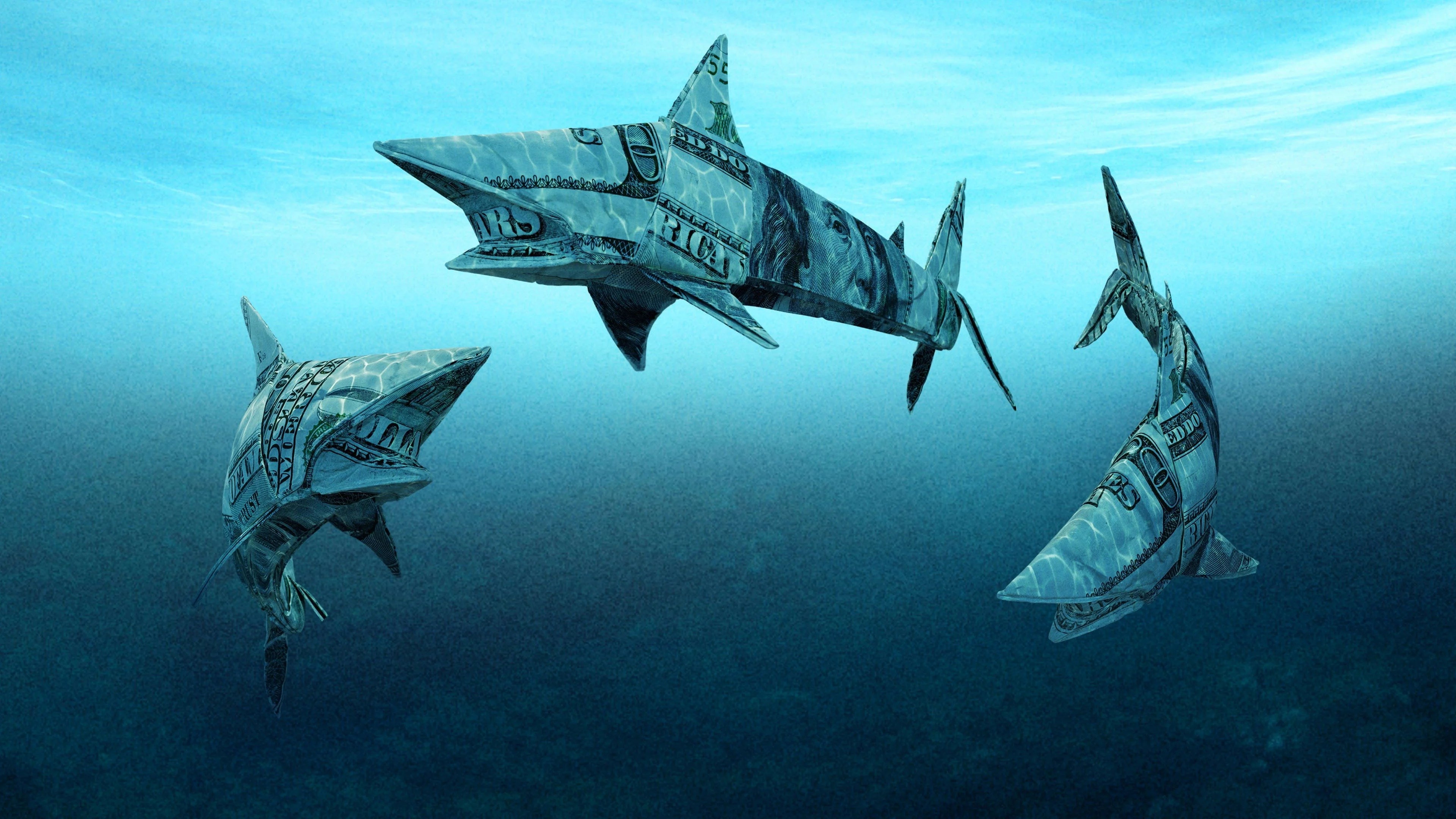 Perfect Shark Tank (2009) Man Cave wall filler - Popcorn Poster Gallery