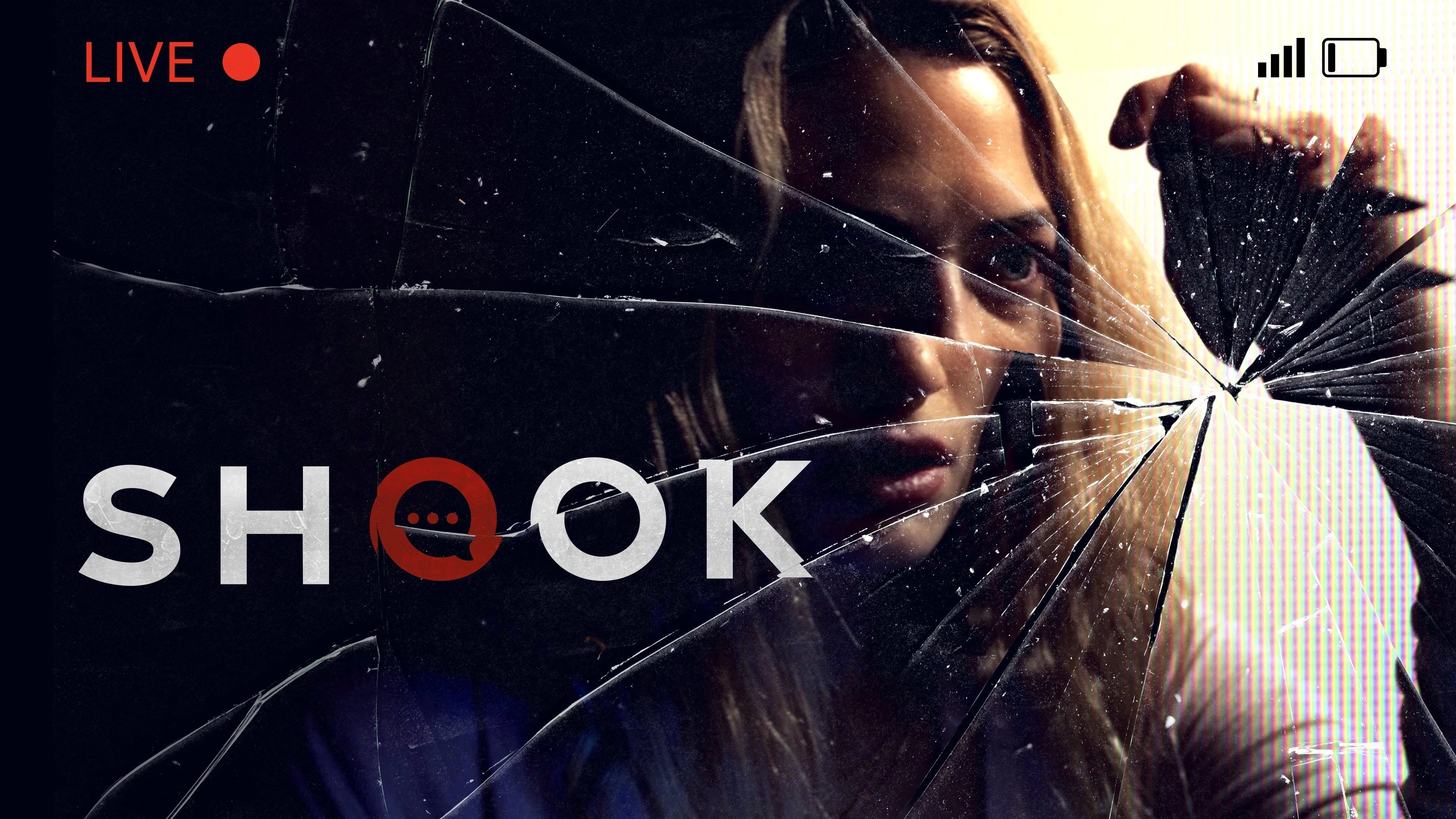 Perfect Shook (2021) Man Cave wall filler - Popcorn Poster Gallery