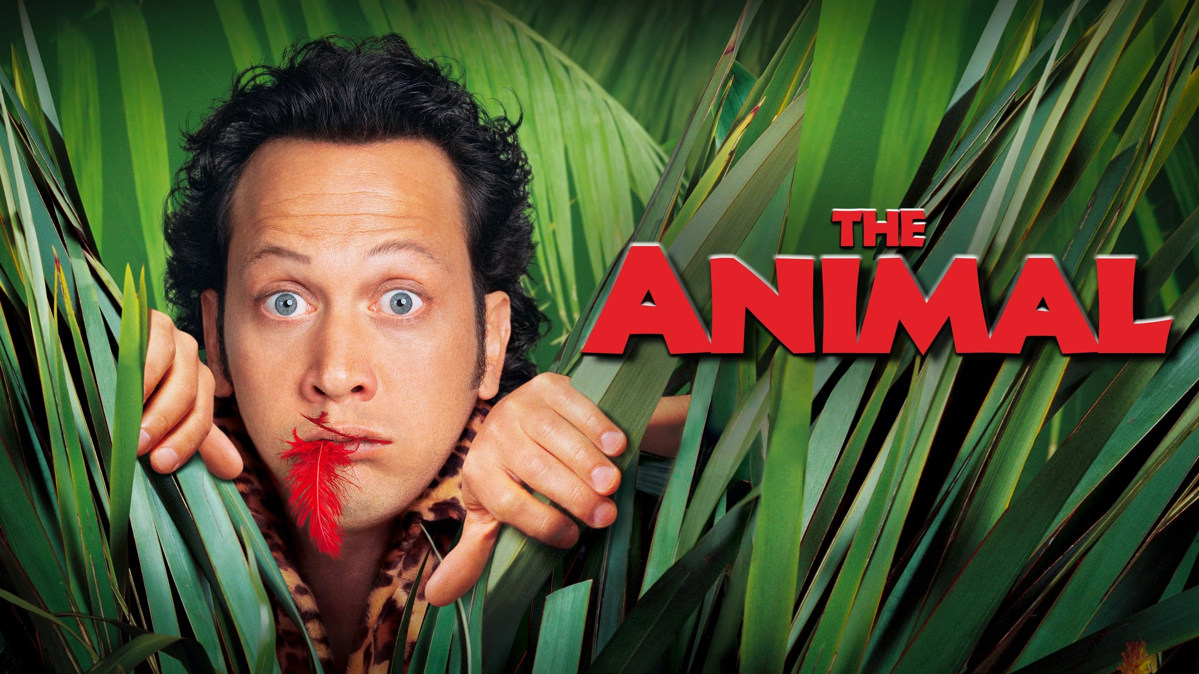 Perfect The Animal (2001) Man Cave wall filler - Popcorn Poster Gallery