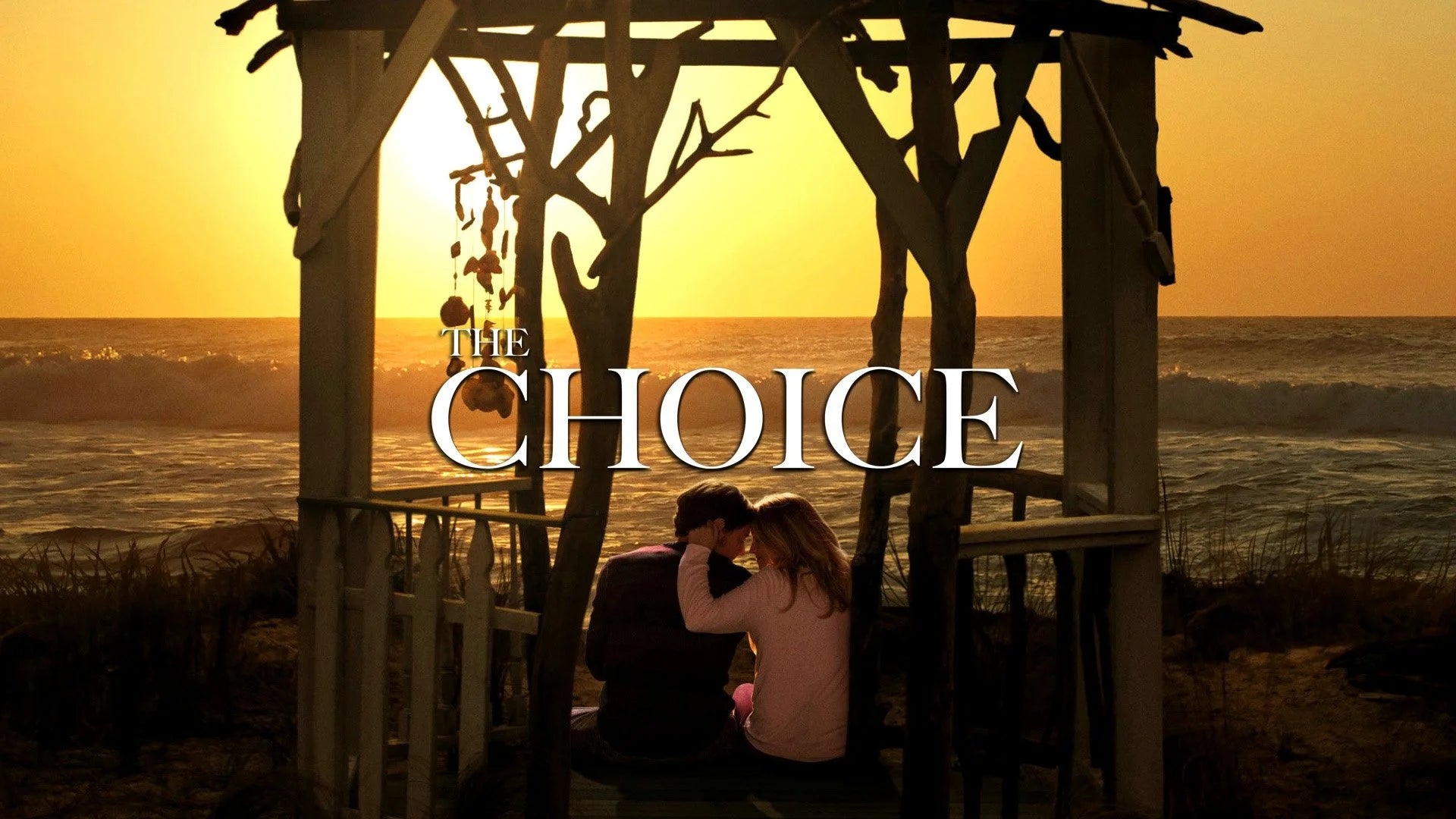 Perfect The Choice (2016) Man Cave wall filler - Popcorn Poster Gallery