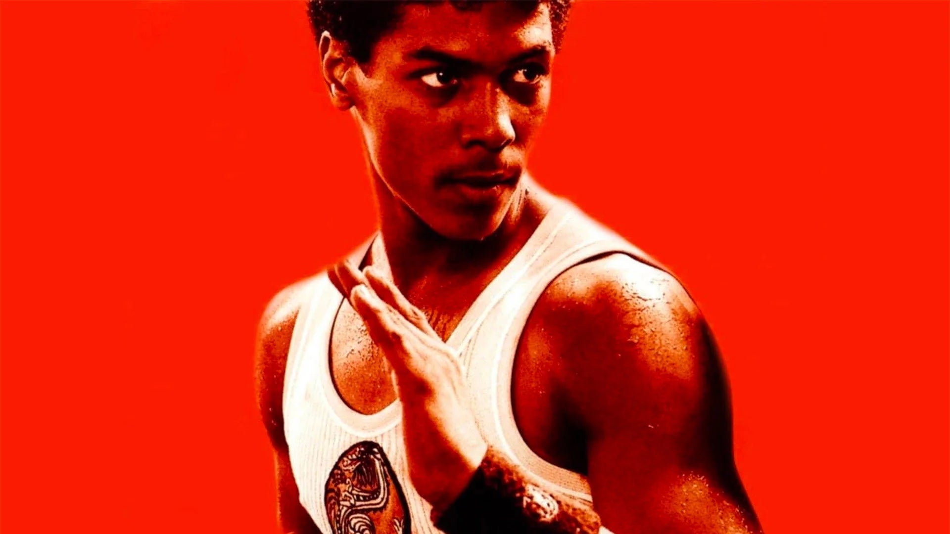Perfect The Last Dragon (1985) Man Cave wall filler - Popcorn Poster Gallery