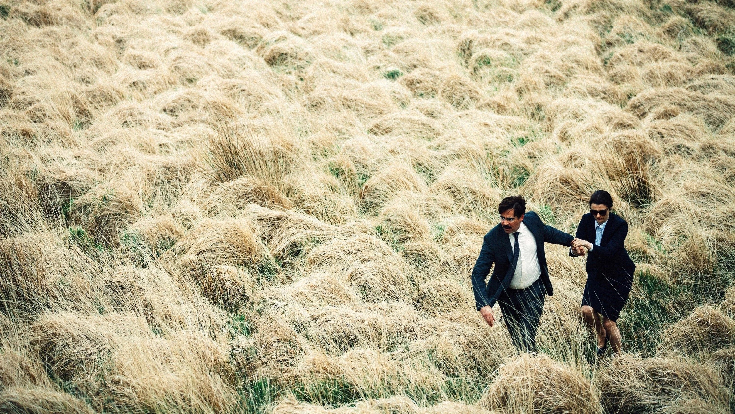 Perfect The Lobster (2015) Man Cave wall filler - Popcorn Poster Gallery