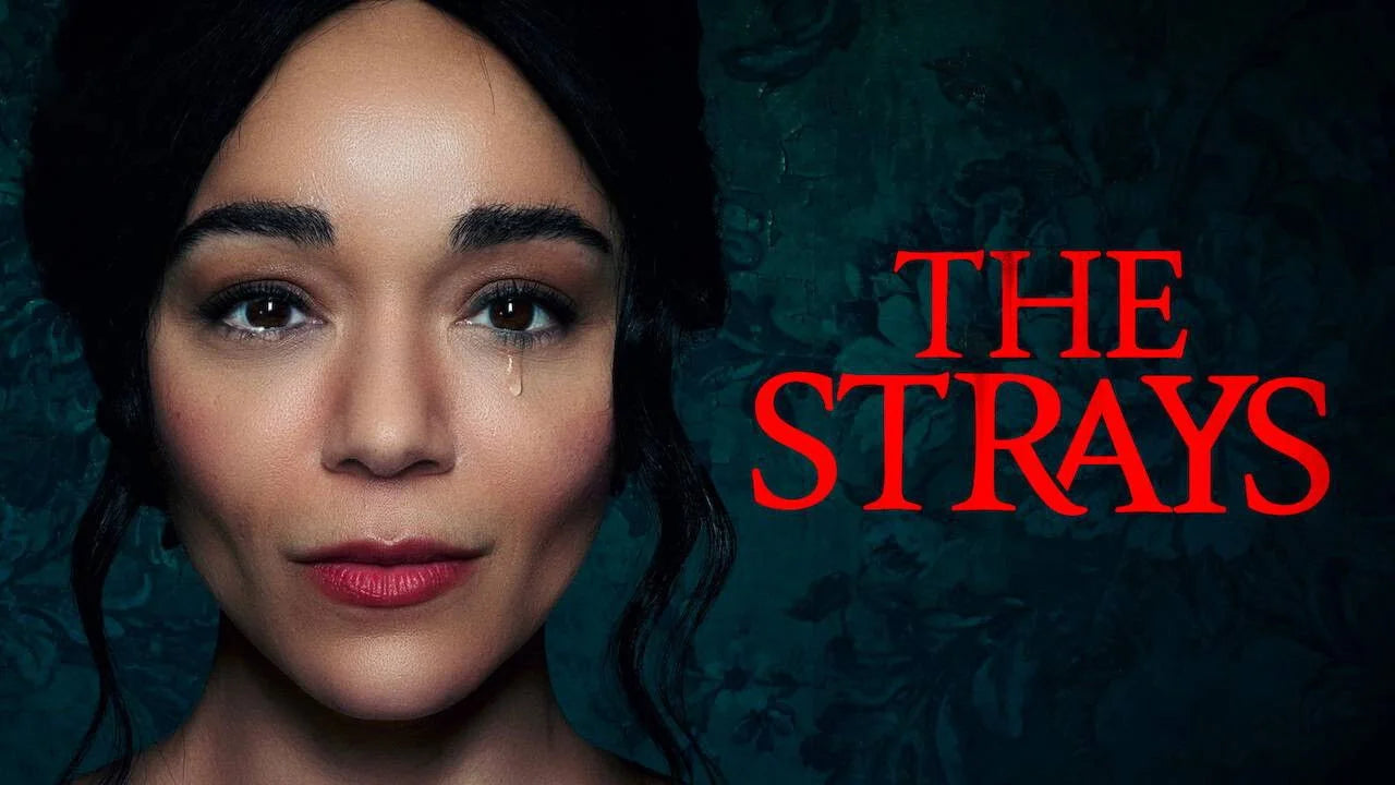 Perfect The Strays (2023) Man Cave wall filler - Popcorn Poster Gallery