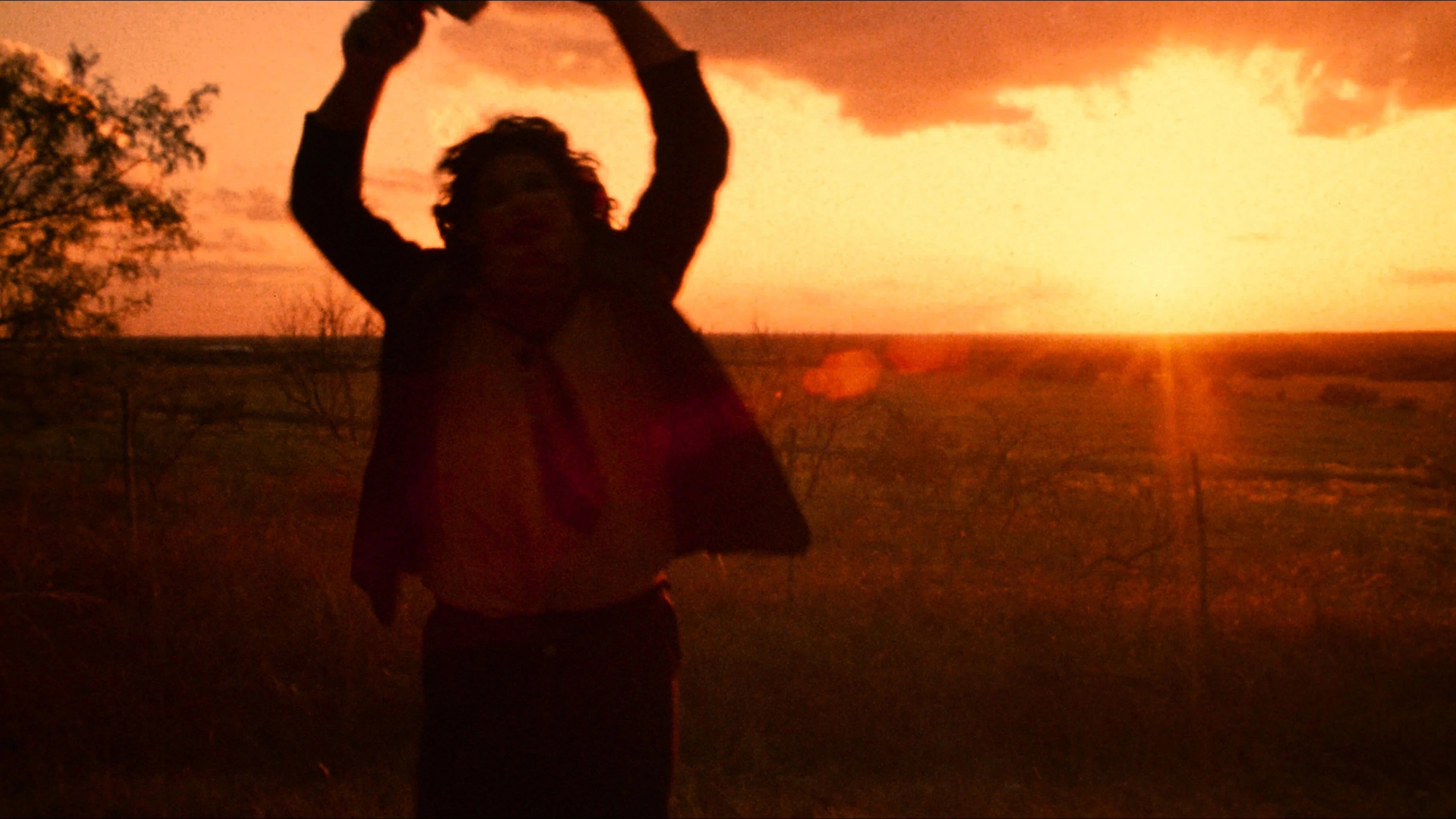 Perfect The Texas Chain Saw Massacre (1974) Man Cave wall filler - Popcorn Poster Gallery