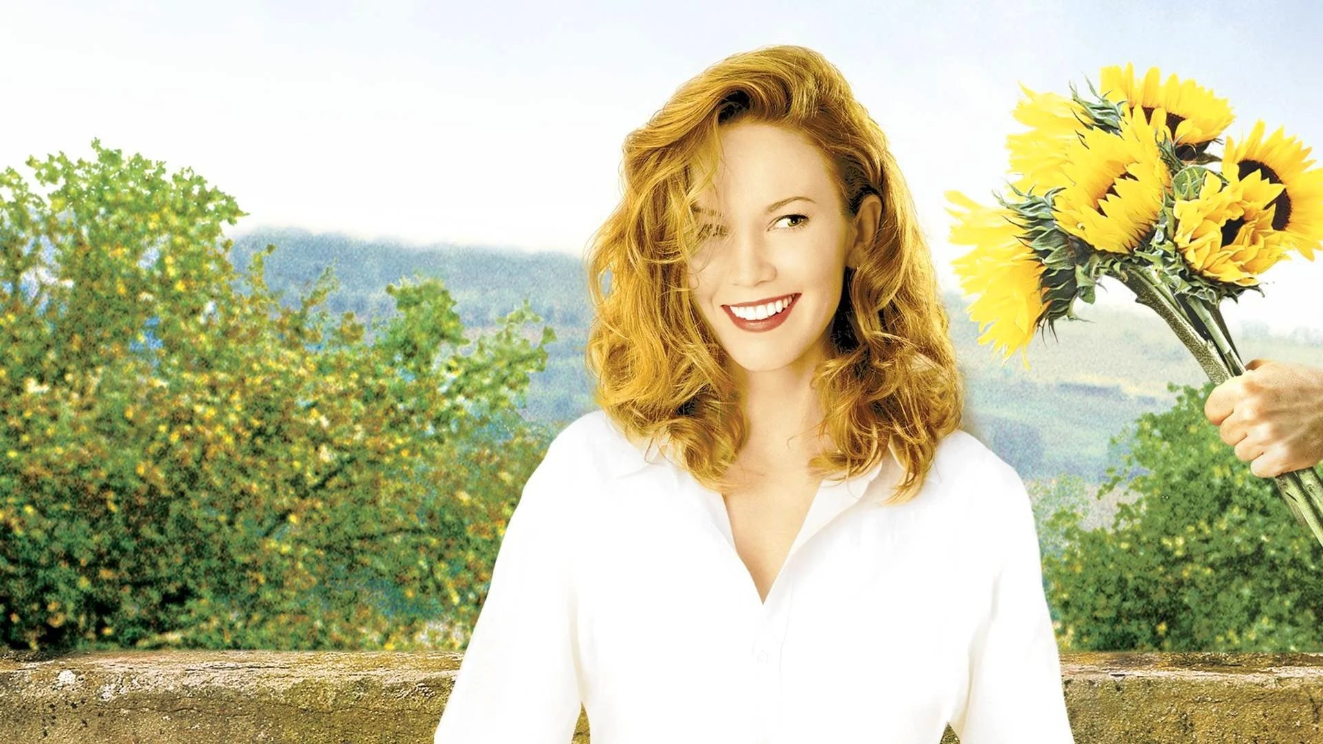 Perfect Under the Tuscan Sun (2003) Man Cave wall filler - Popcorn Poster Gallery