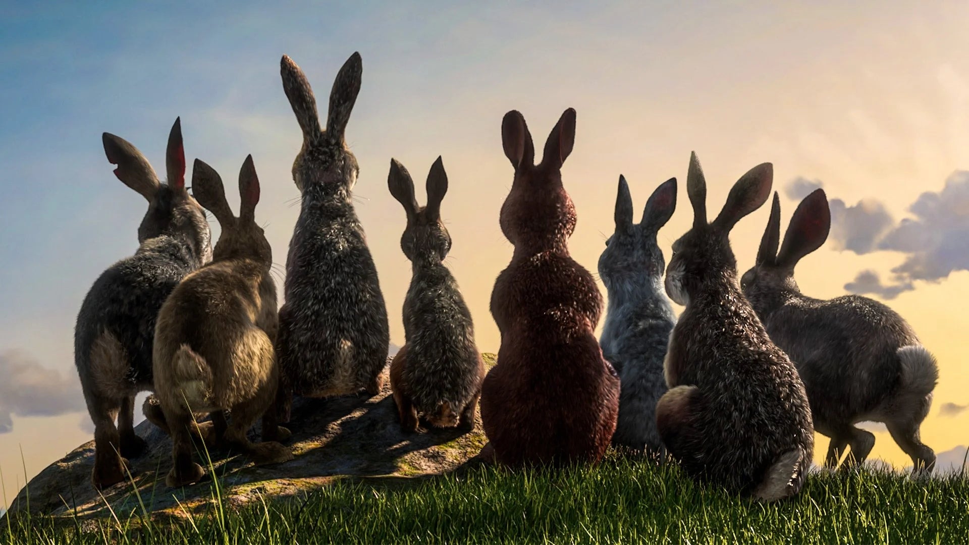 Perfect Watership Down (2018) Man Cave wall filler - Popcorn Poster Gallery