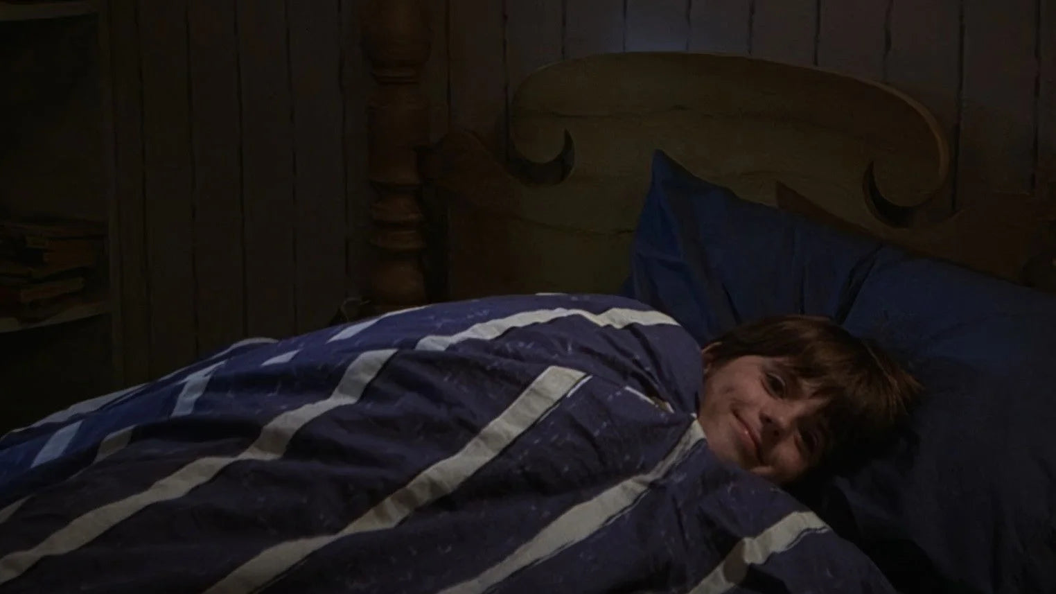 Perfect Whiskers (1997) Man Cave wall filler - Popcorn Poster Gallery