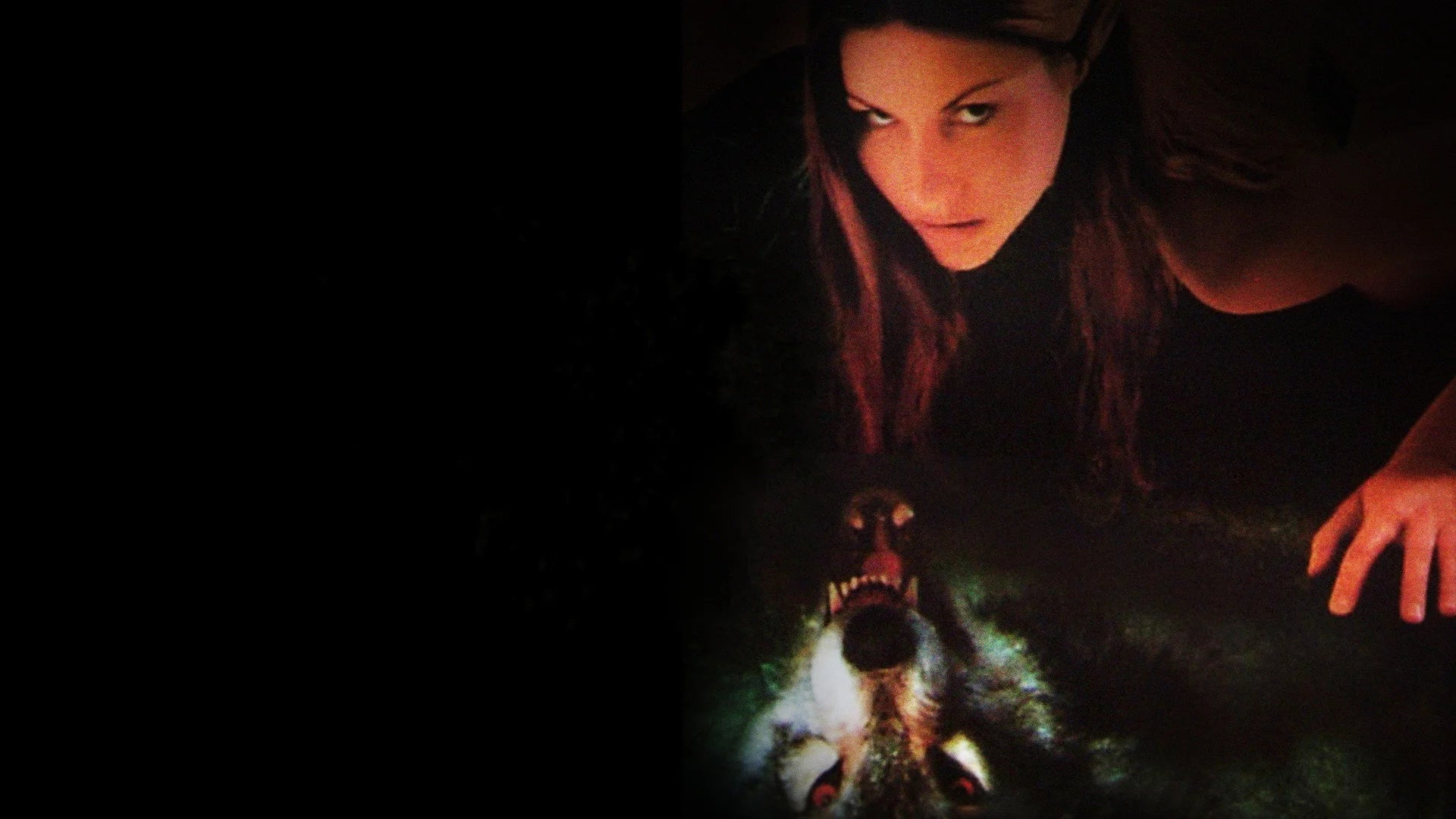 Perfect Wolf Girl (2001) Man Cave wall filler - Popcorn Poster Gallery