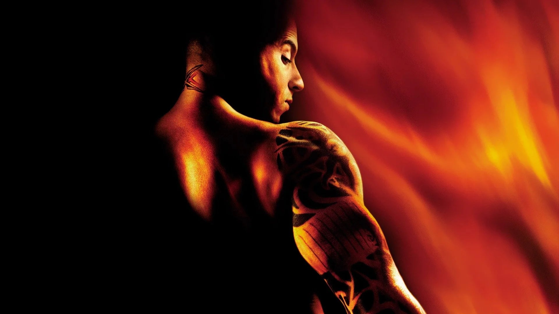 Perfect xXx (2002) Man Cave wall filler - Popcorn Poster Gallery