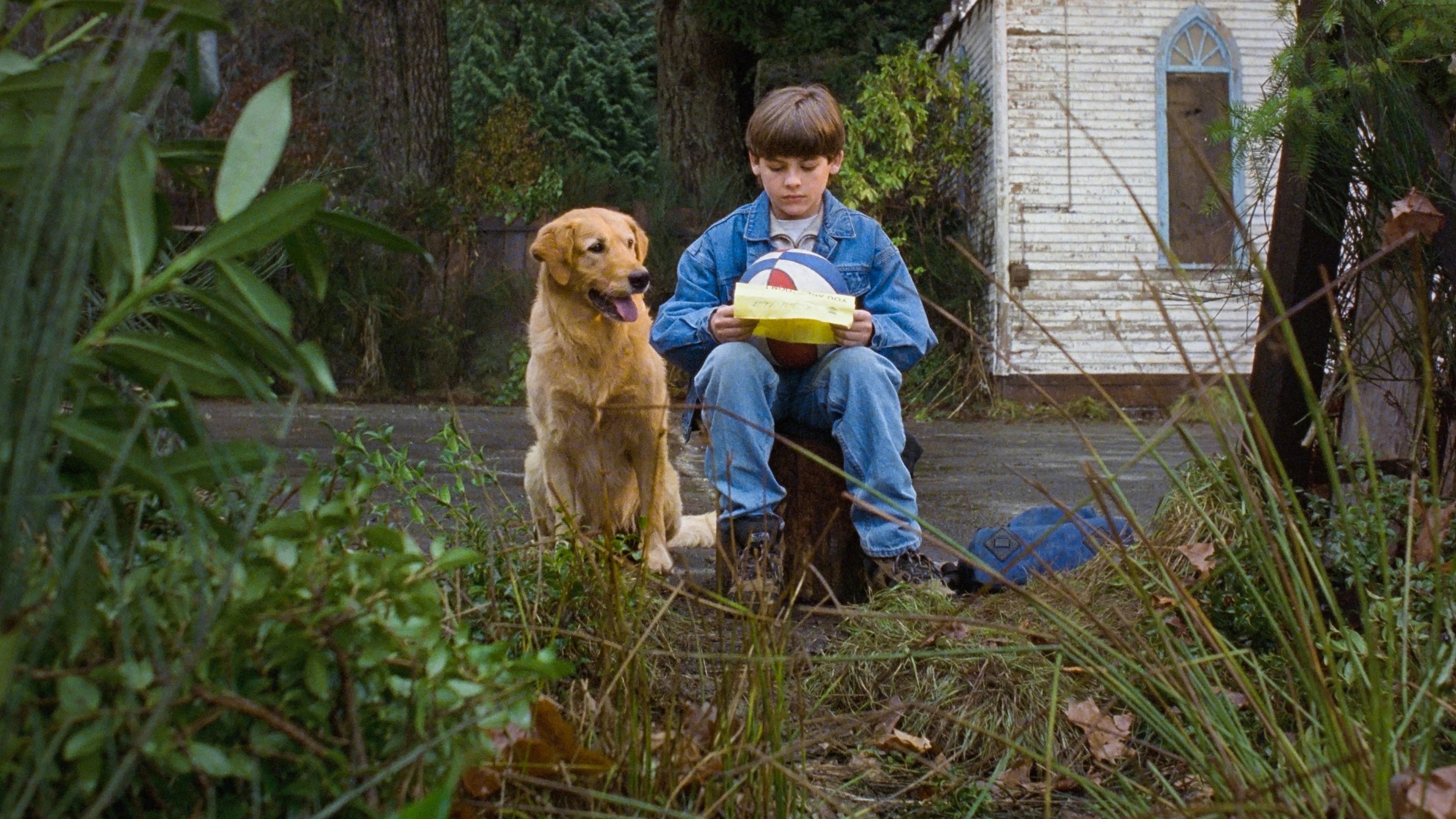 Unique Air Bud (1997) gift ideas - Available at Popcorn Poster