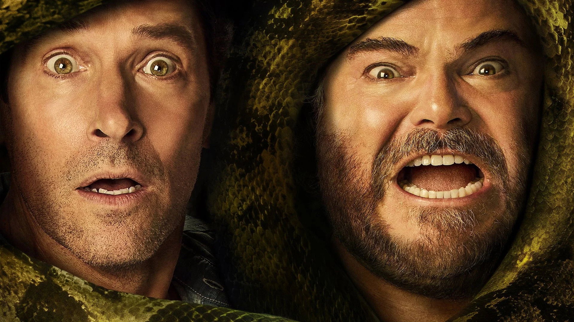 Unique Anaconda (2025) gift ideas - Available at Popcorn Poster