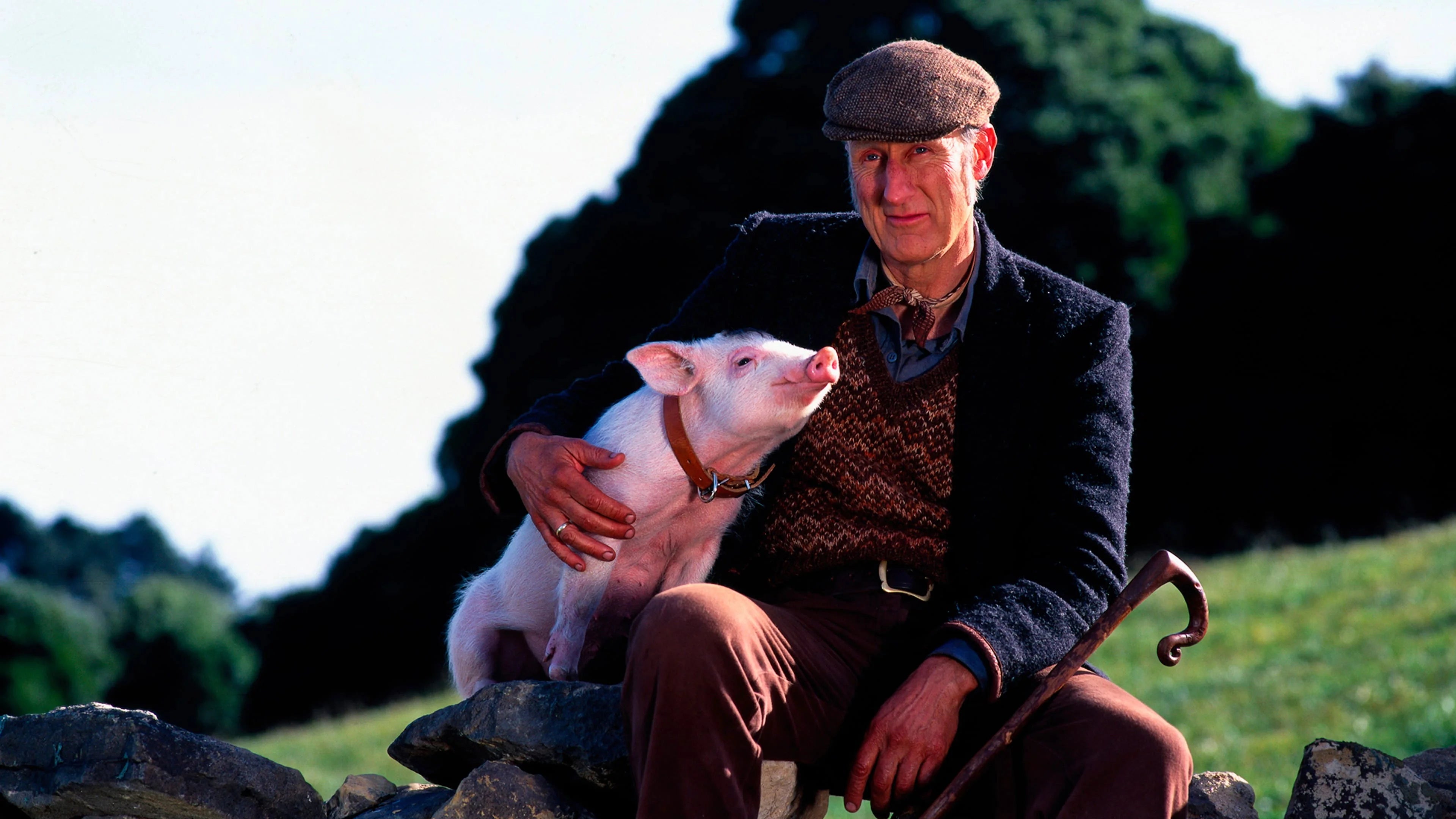 Unique Babe (1995) gift ideas - Available at Popcorn Poster