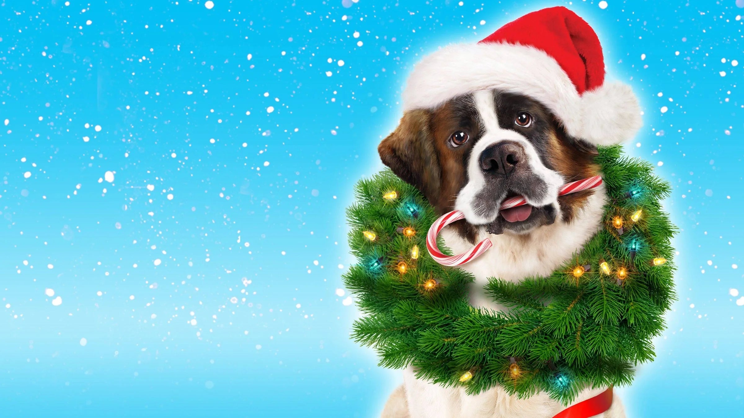 Unique Beethoven's Christmas Adventure (2011) gift ideas - Available at Popcorn Poster