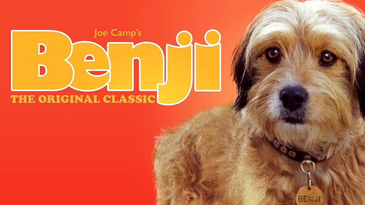 Unique Benji (1974) gift ideas - Available at Popcorn Poster