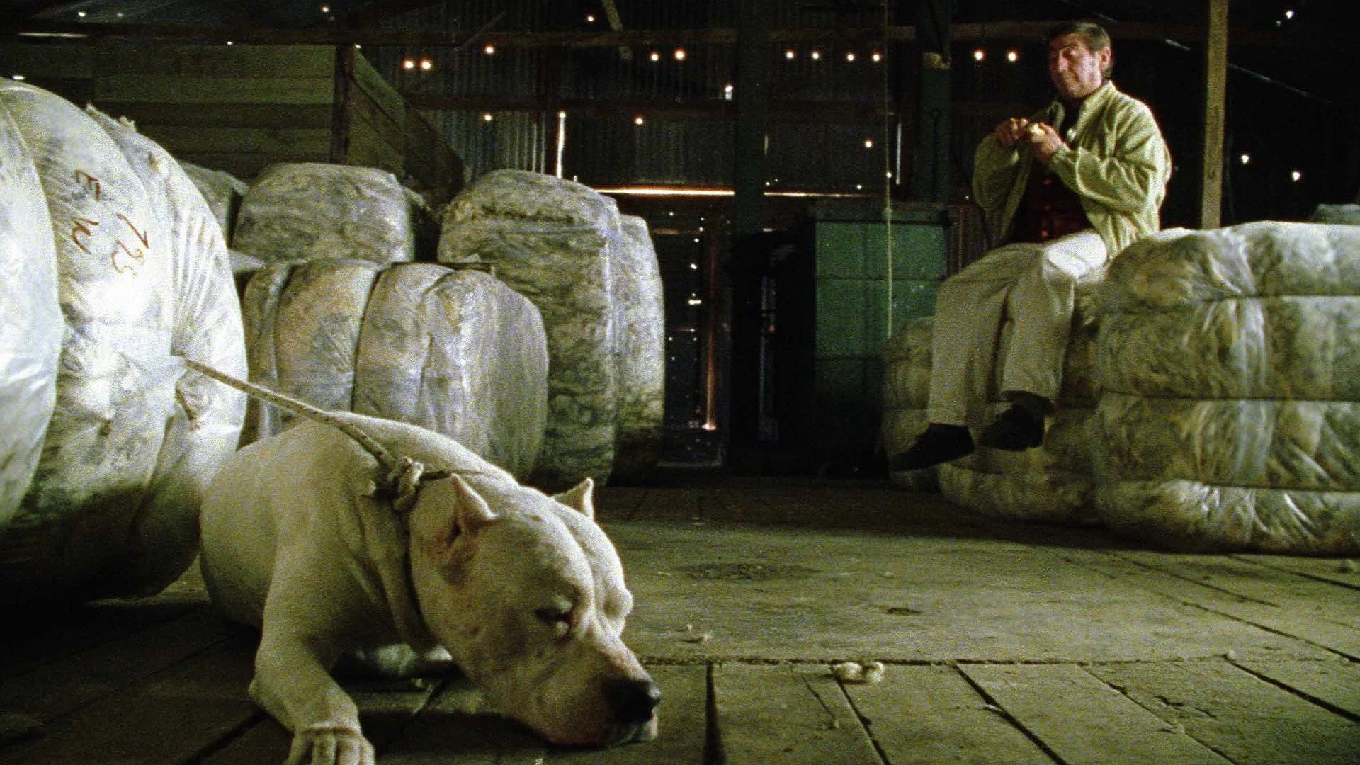 Unique Bombón El Perro (2004) gift ideas - Available at Popcorn Poster