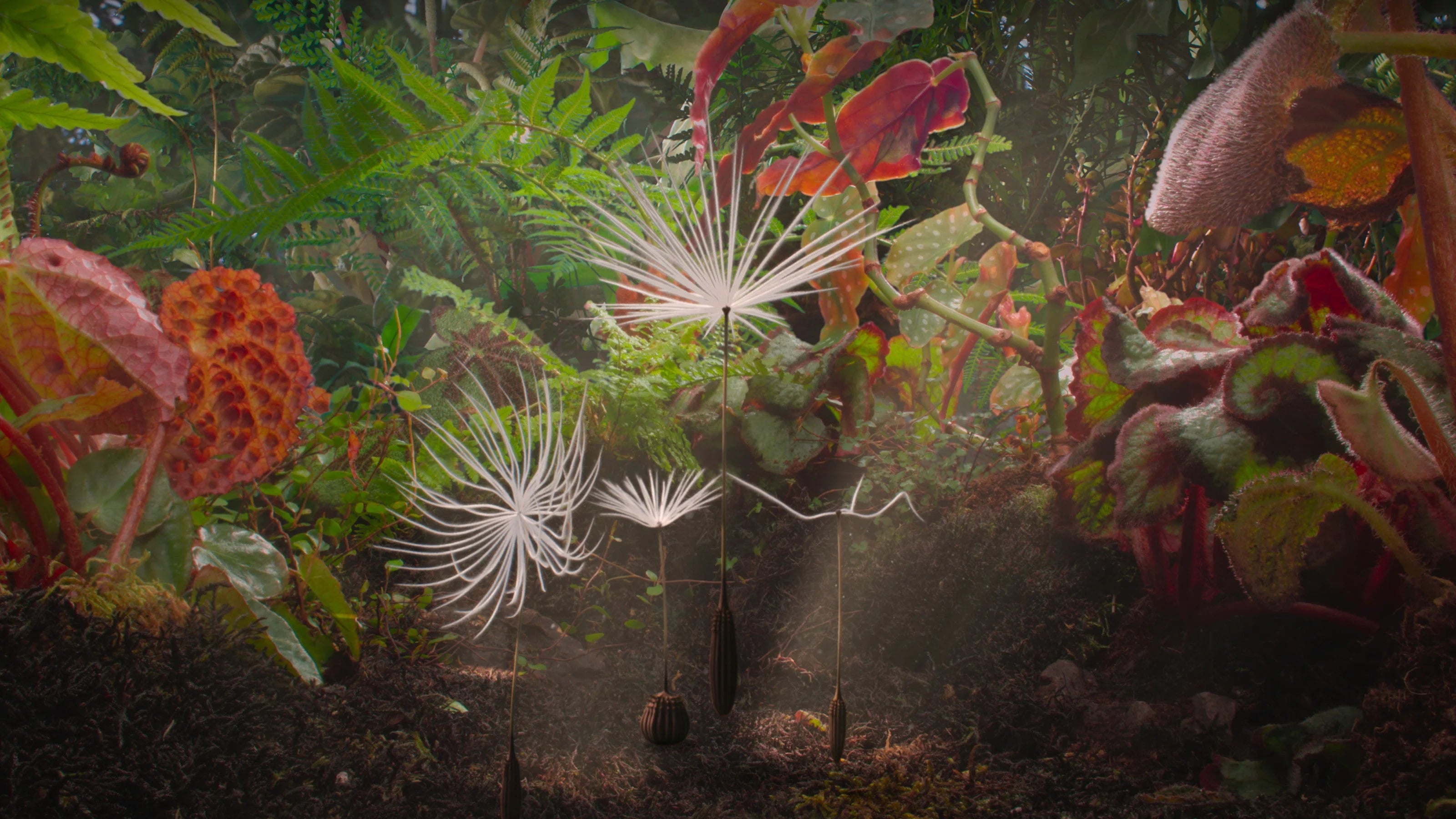 Unique Dandelion's Odyssey (2026) gift ideas - Available at Popcorn Poster