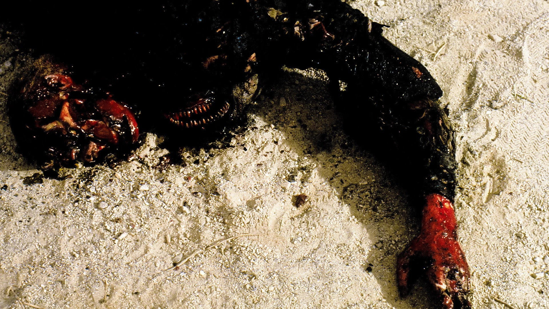 Unique Parasite (1982) gift ideas - Available at Popcorn Poster