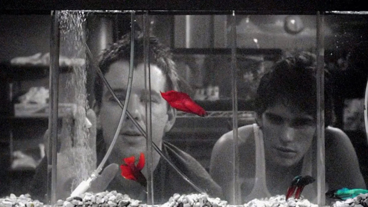 Unique Rumble Fish (1983) gift ideas - Available at Popcorn Poster