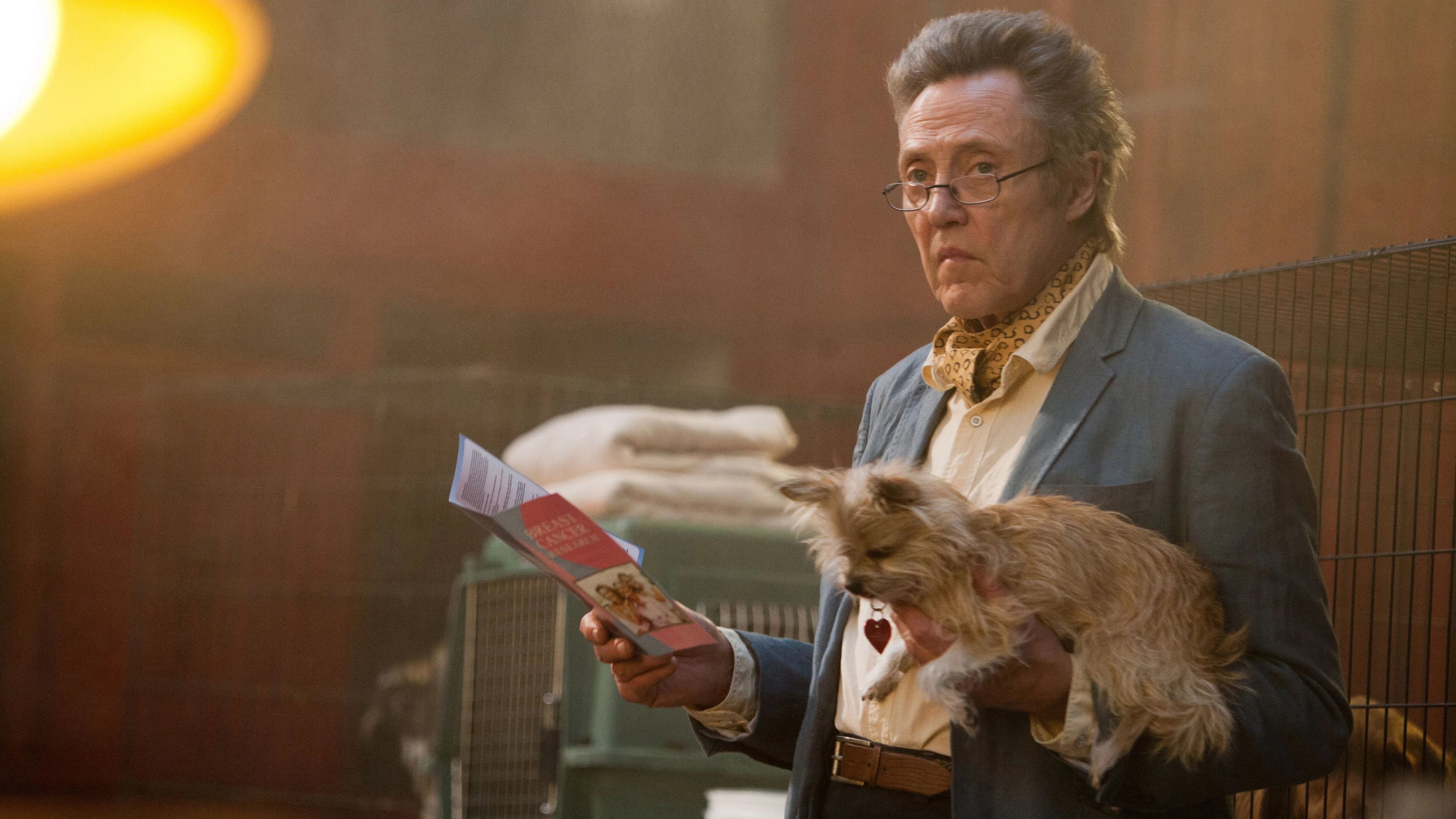 Unique Seven Psychopaths (2012) gift ideas - Available at Popcorn Poster