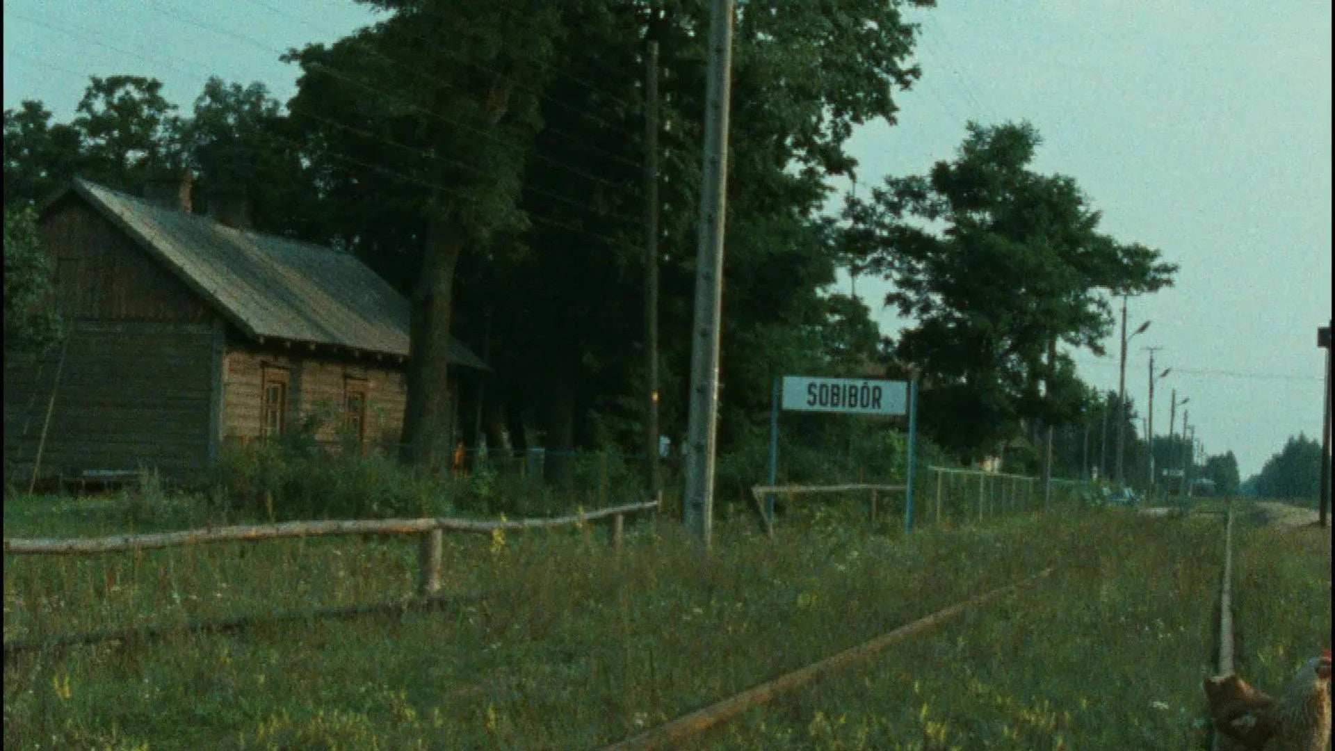 Unique Shoah (1985) gift ideas - Available at Popcorn Poster