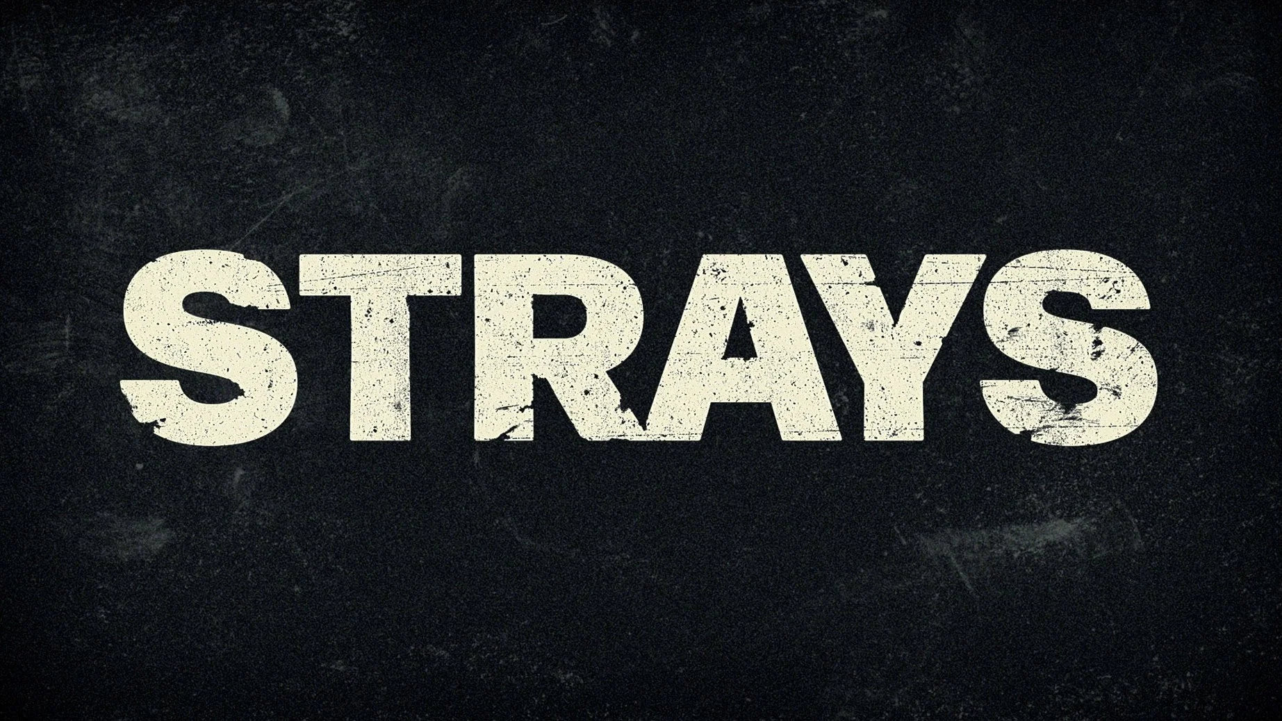 Unique Strays (2023) gift ideas - Available at Popcorn Poster