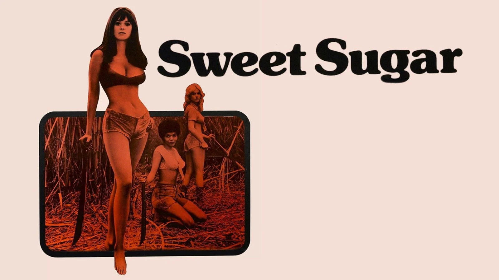 Unique Sweet Sugar (1972) gift ideas - Available at Popcorn Poster