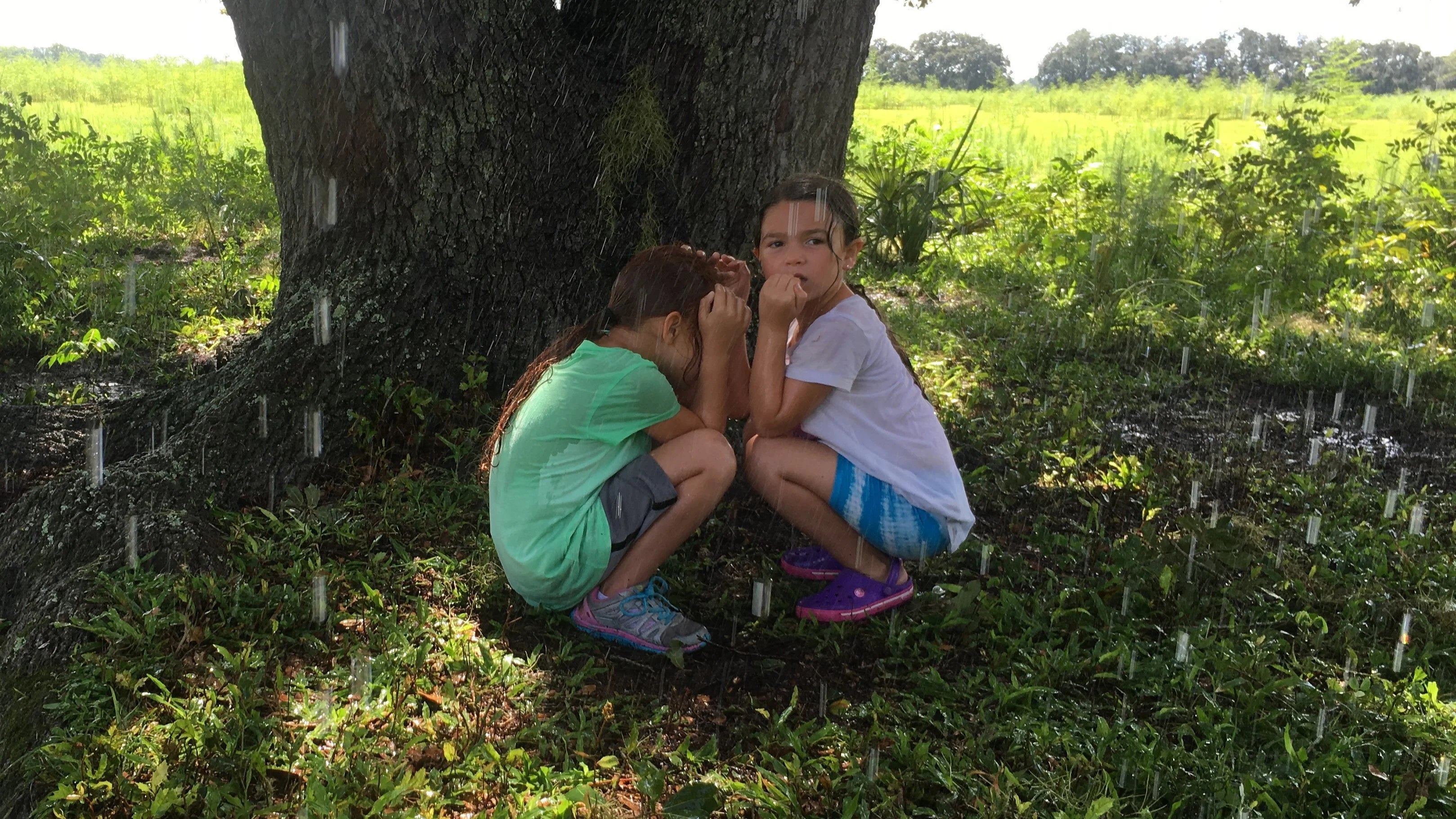 Unique The Florida Project (2017) gift ideas - Available at Popcorn Poster