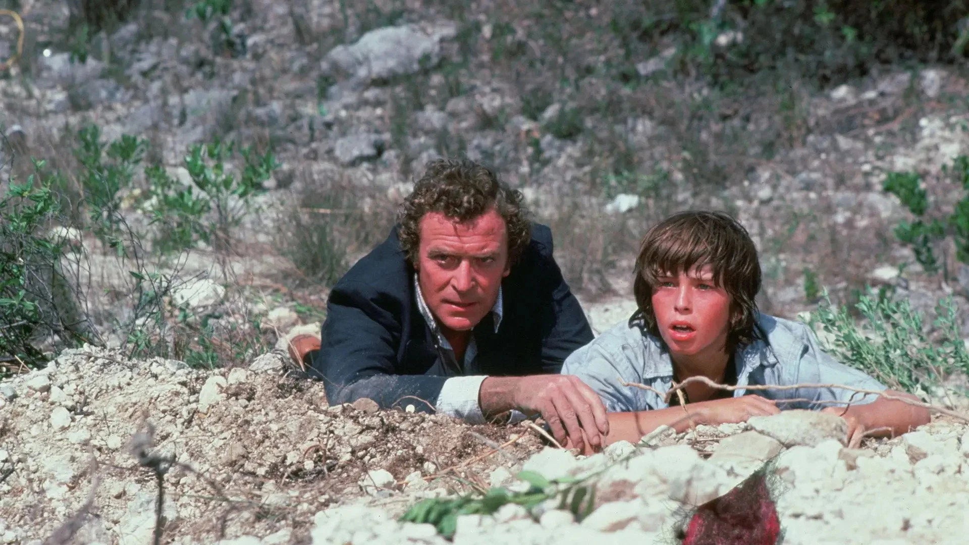 Unique The Island (1980) gift ideas - Available at Popcorn Poster