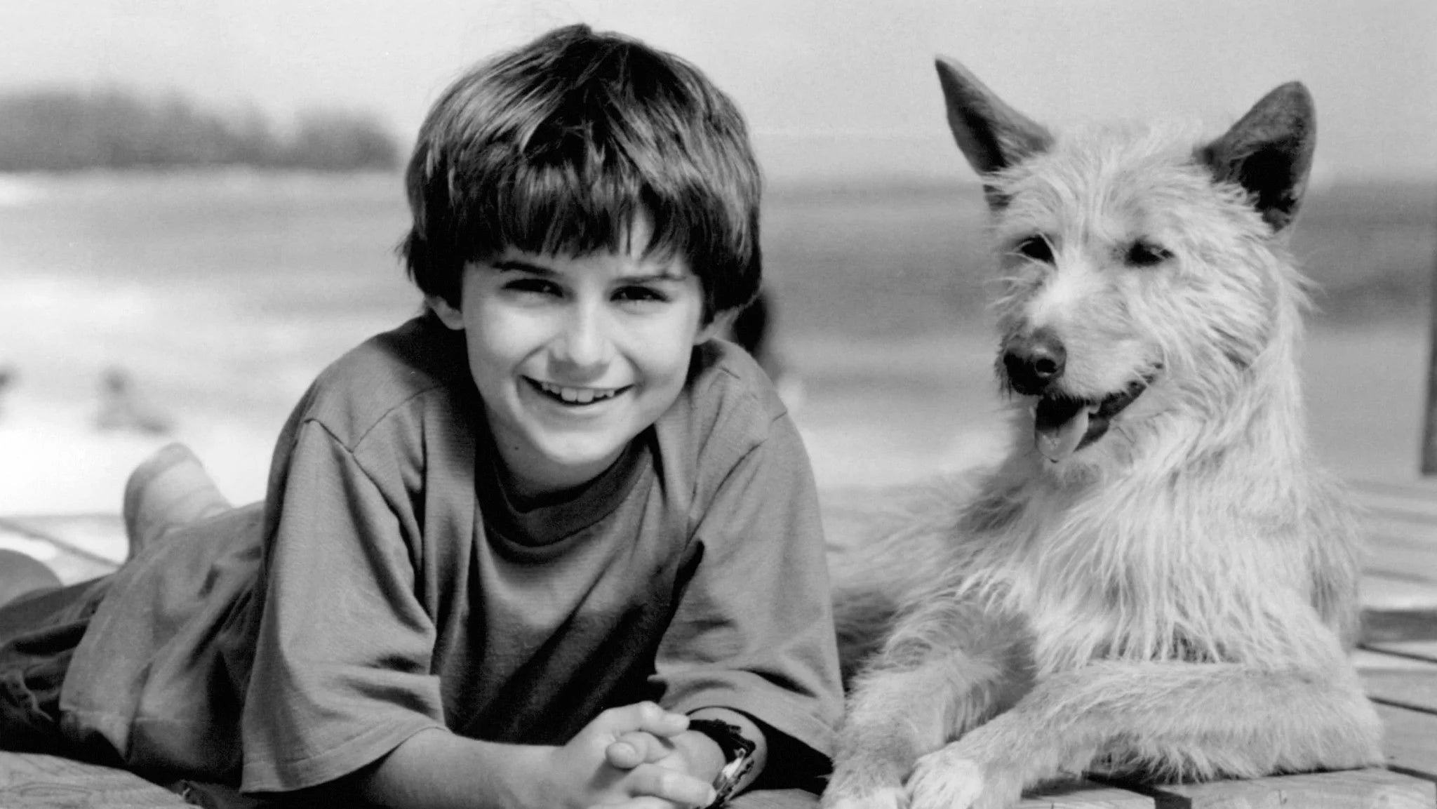 Unique Zeus & Roxanne (1997) gift ideas - Available at Popcorn Poster