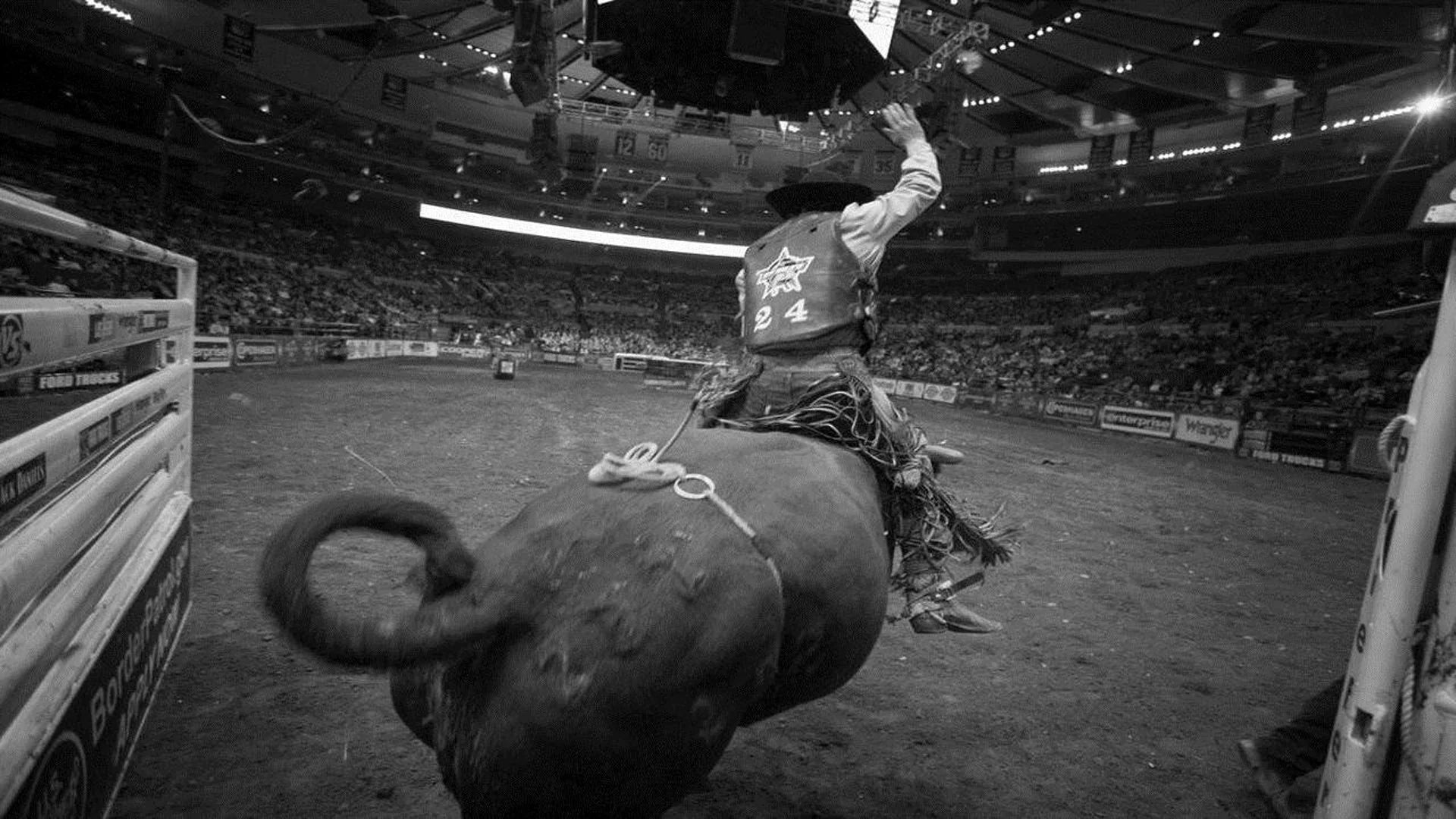 Where to buy 8 Seconds (1994) posters - Popcorn Poster Shop