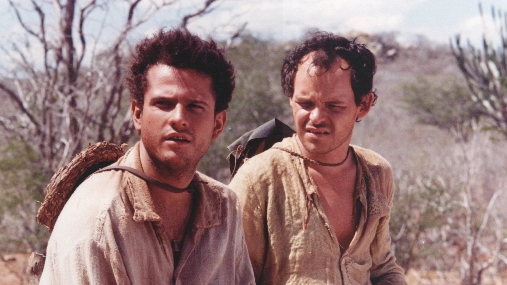 Where to buy A Dog's Will (2000) posters - Popcorn Poster Shop