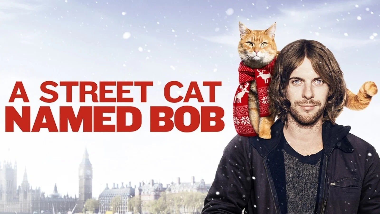 Where to buy A Street Cat Named Bob (2016) posters - Popcorn Poster Shop