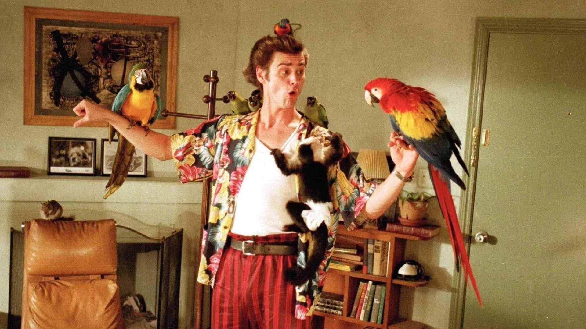 Where to buy Ace Ventura Pet Detective (1994) posters - Popcorn Poster Shop