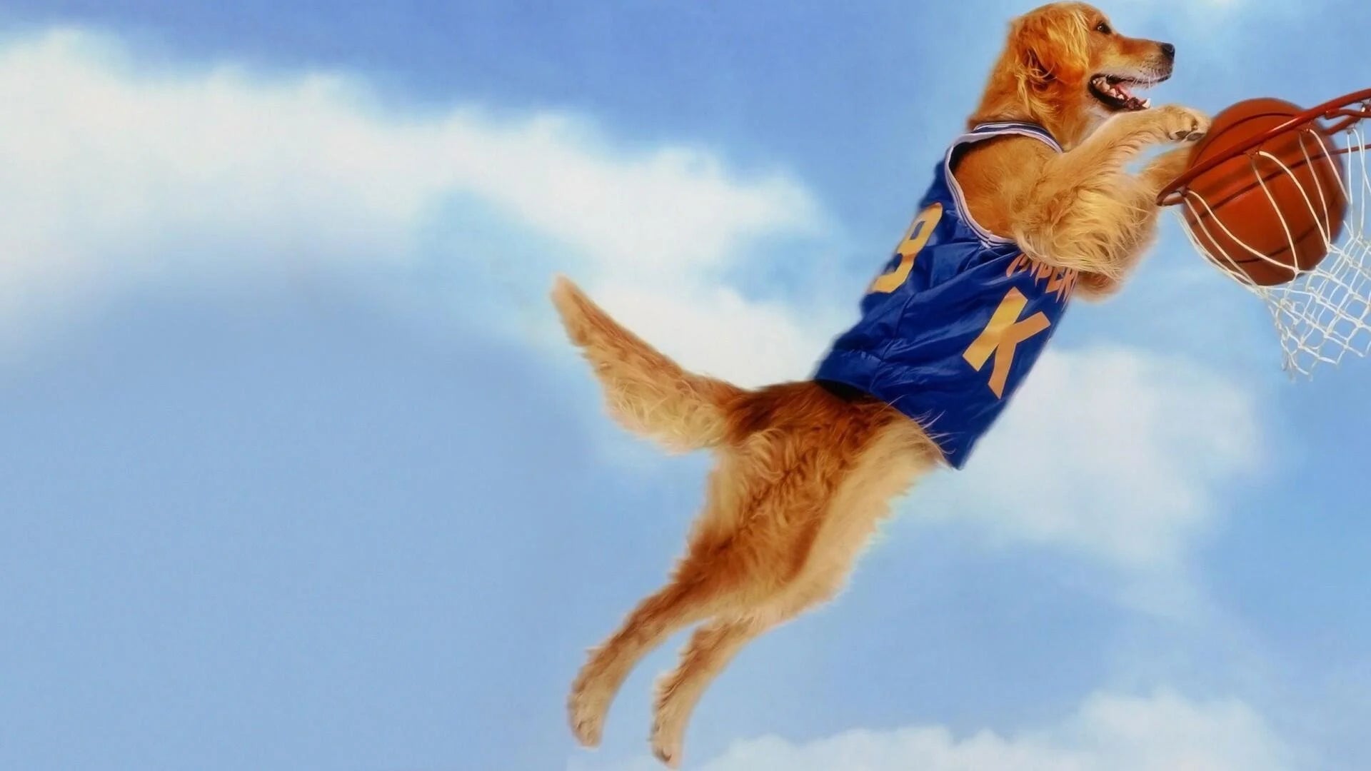 Where to buy Air Bud (1997) posters - Popcorn Poster Shop