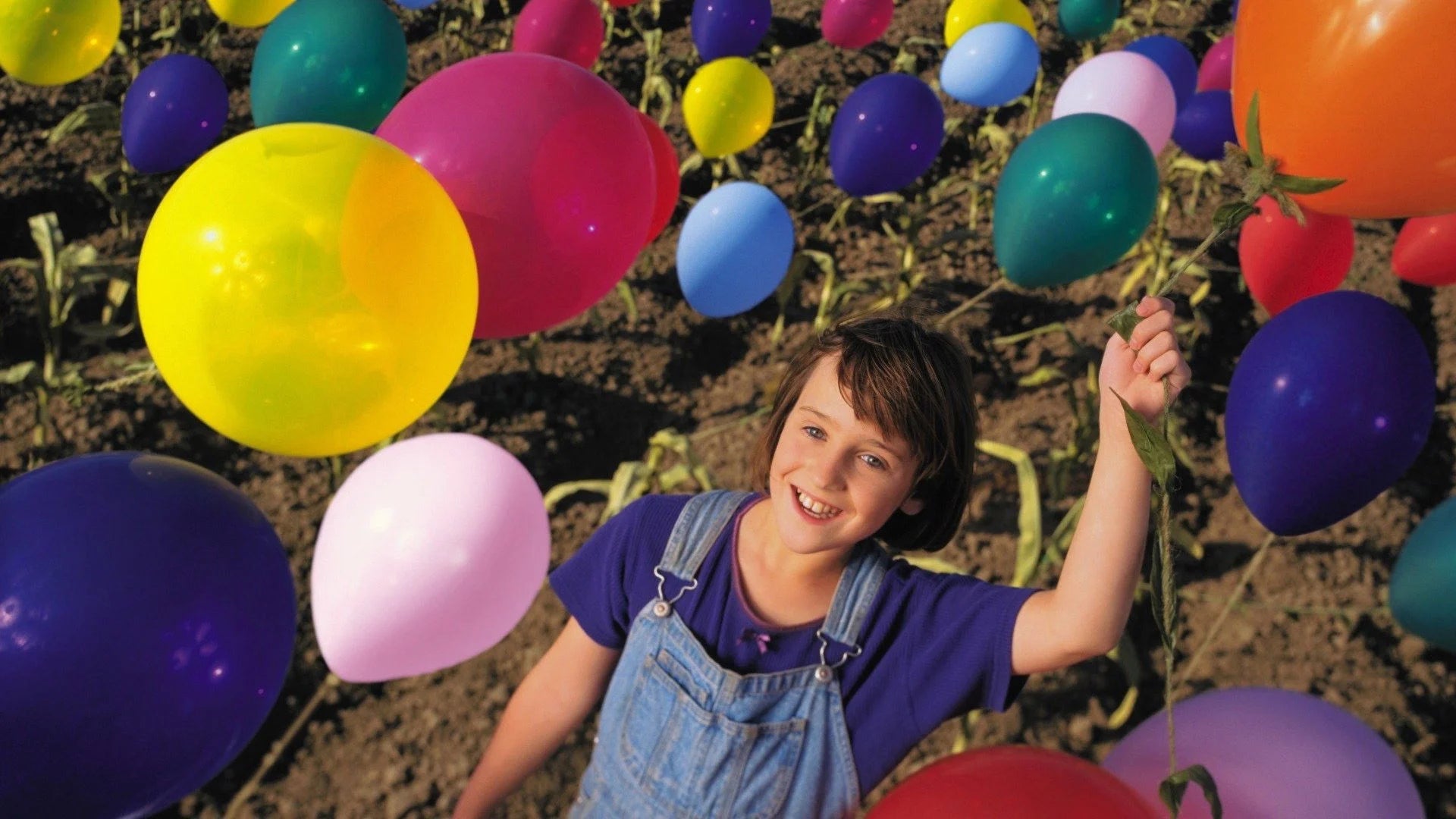 Where to buy Balloon Farm (1999) posters - Popcorn Poster Shop