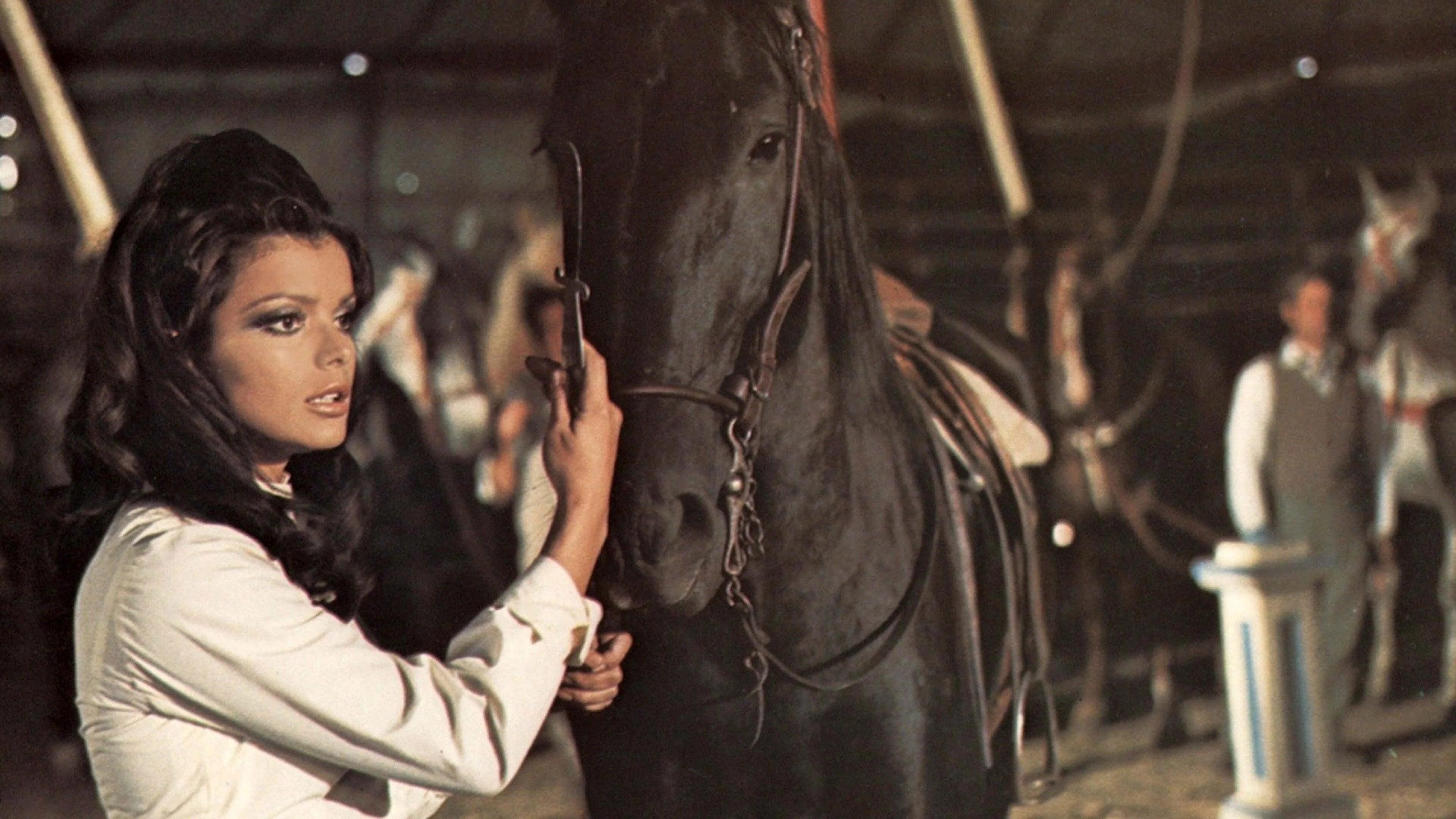 Where to buy Black Beauty (1971) posters - Popcorn Poster Shop