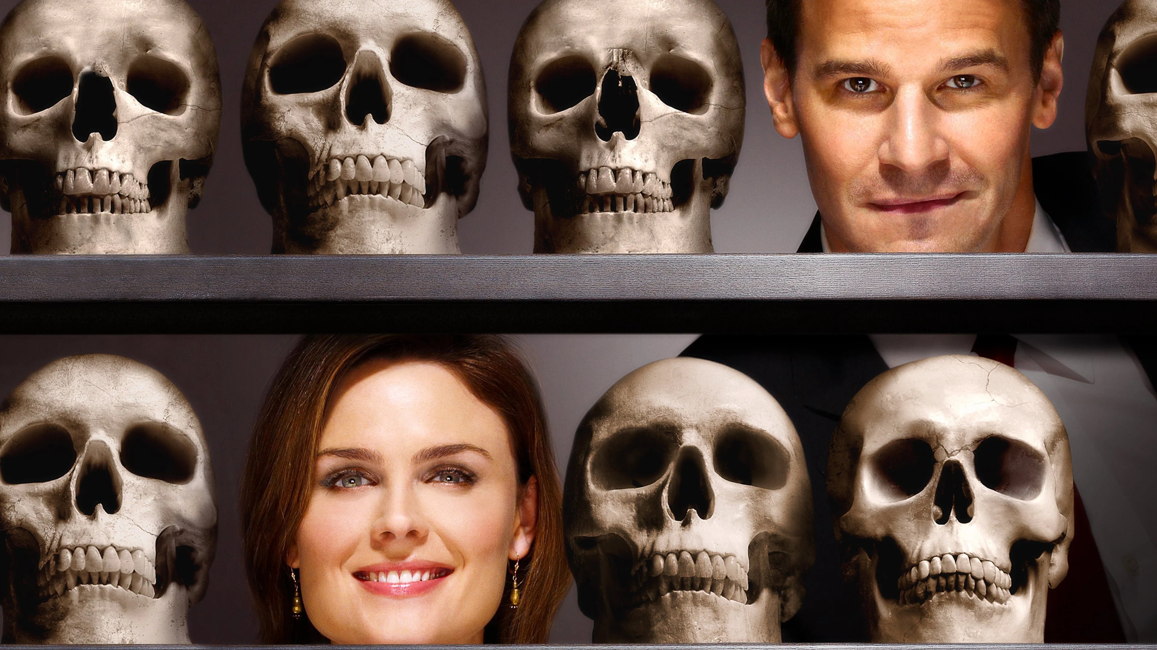 Where to buy Bones (2005) posters - Popcorn Poster Shop