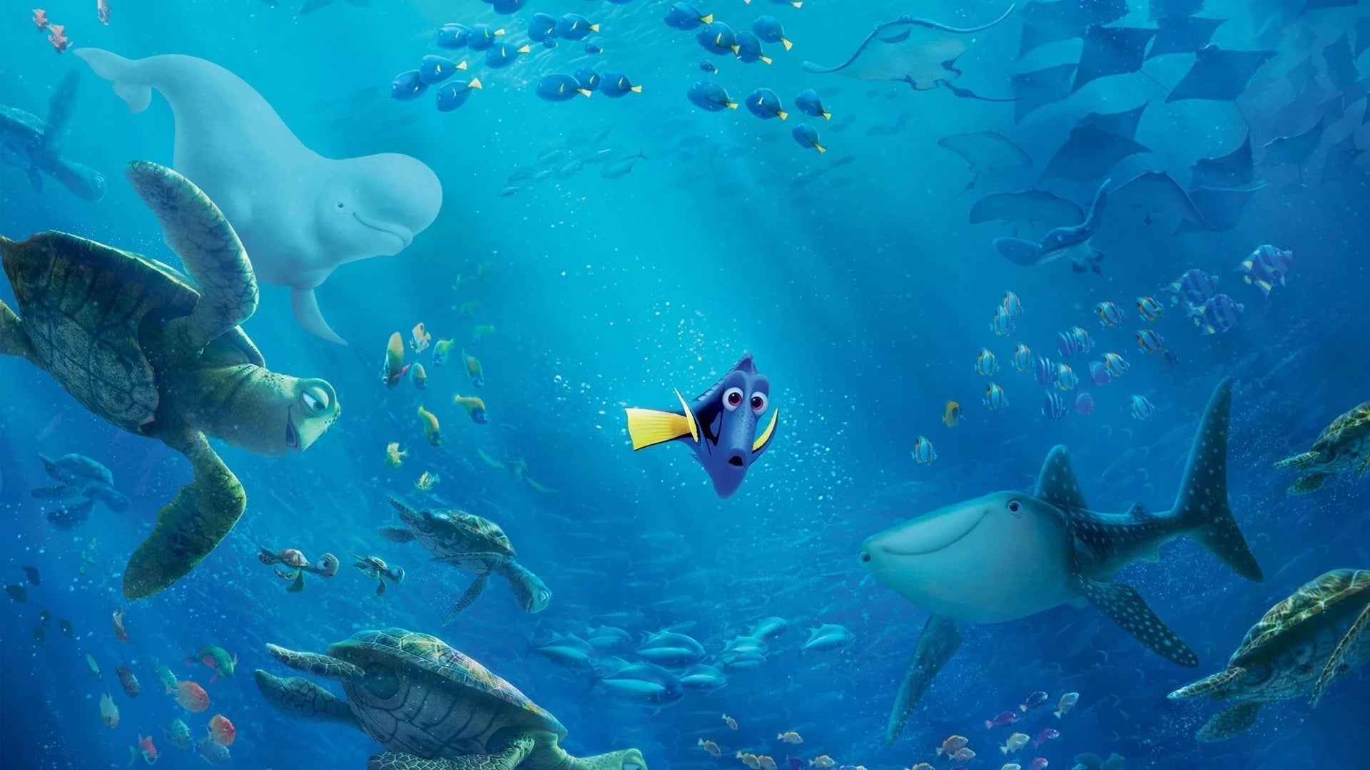 Where to buy Finding Dory (2016) posters - Popcorn Poster Shop