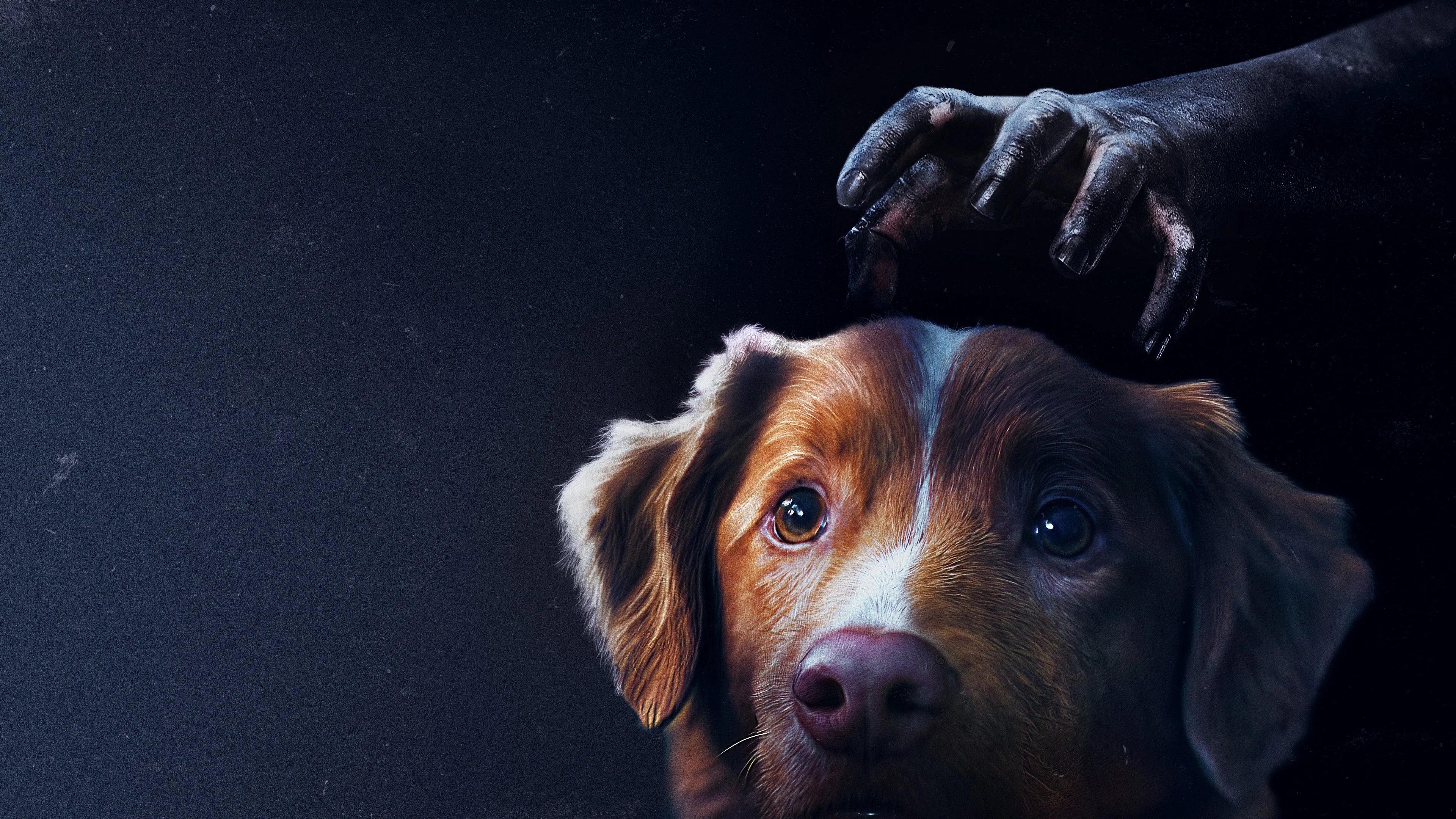 Where to buy Good Boy (2025) posters - Popcorn Poster Shop