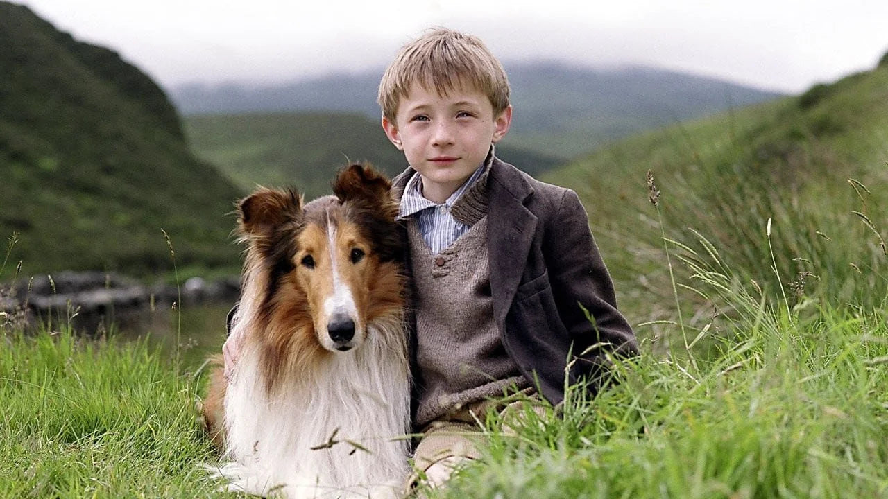 Where to buy Lassie (2005) posters - Popcorn Poster Shop