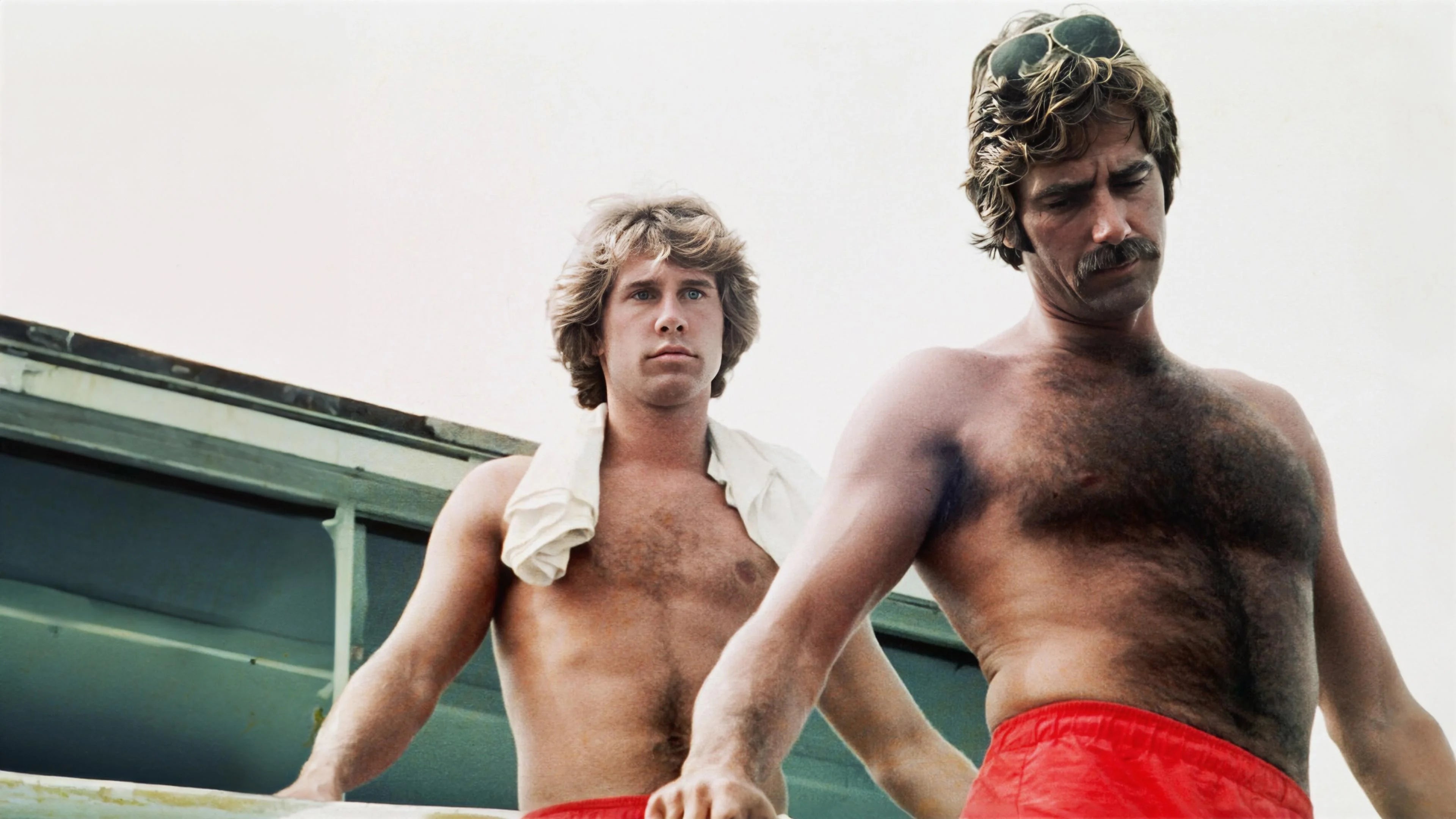 Where to buy Lifeguard (1976) posters - Popcorn Poster Shop