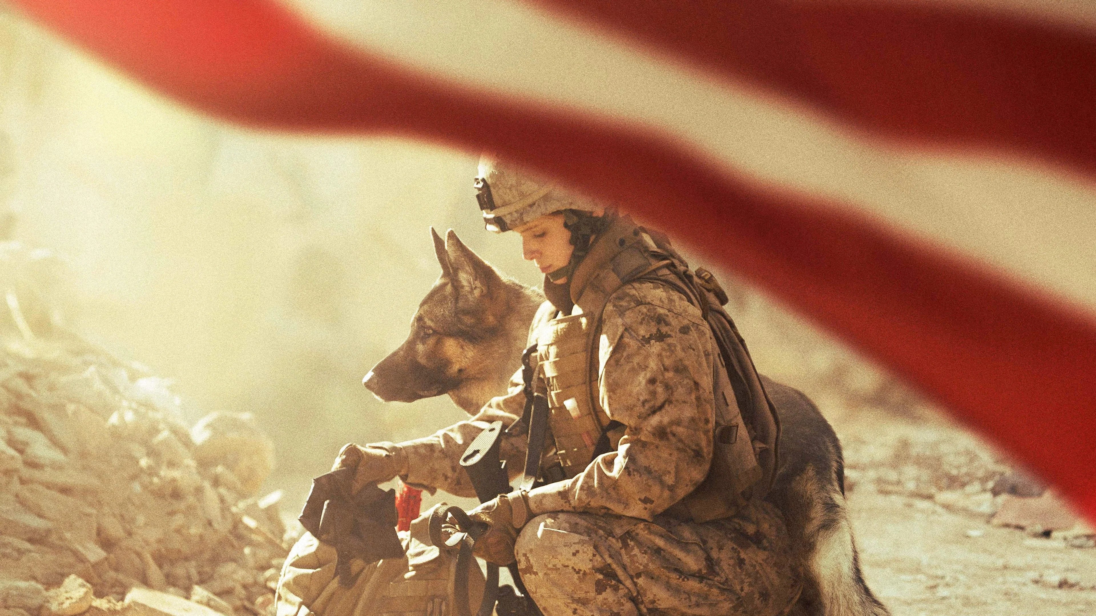 Where to buy Megan Leavey (2017) posters - Popcorn Poster Shop