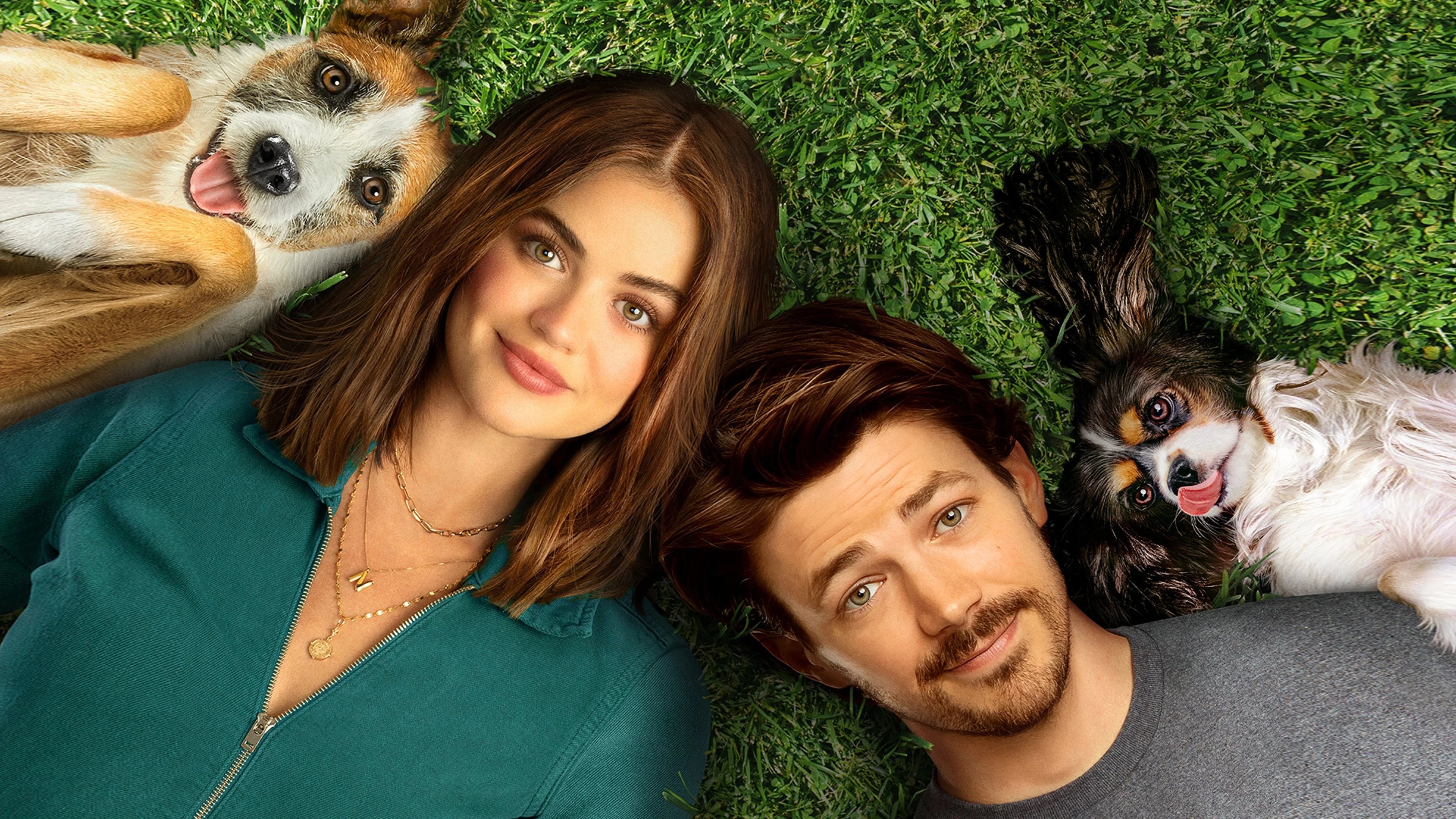 Where to buy Puppy Love (2023) posters - Popcorn Poster Shop