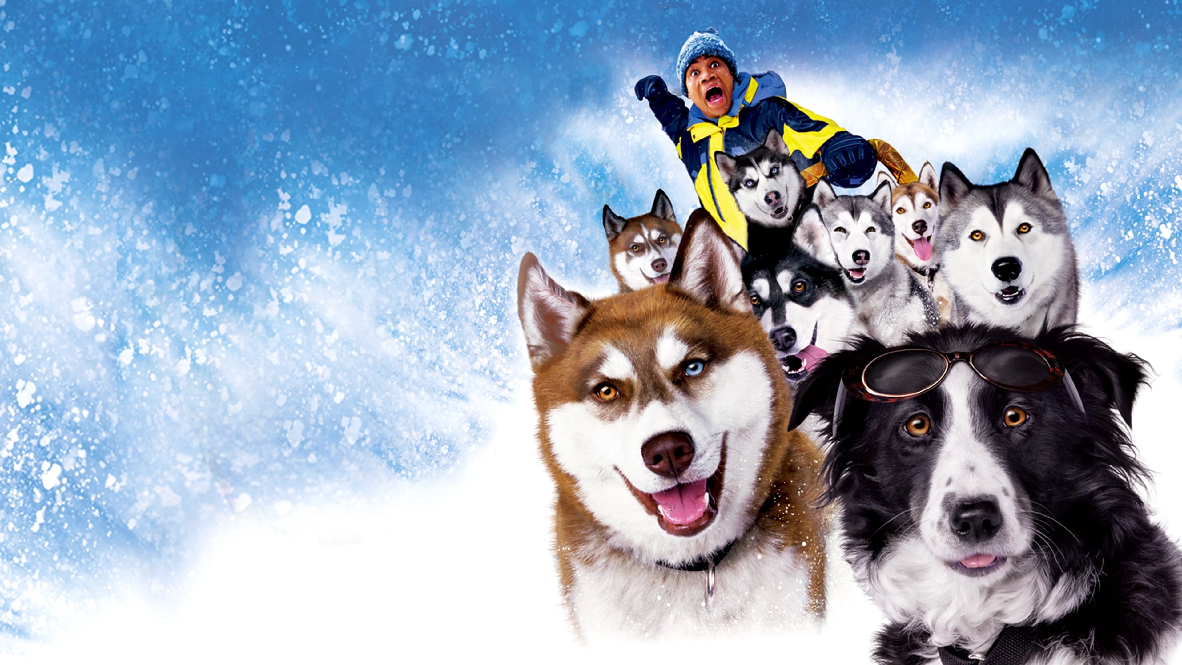 Where to buy Snow Dogs (2002) posters - Popcorn Poster Shop