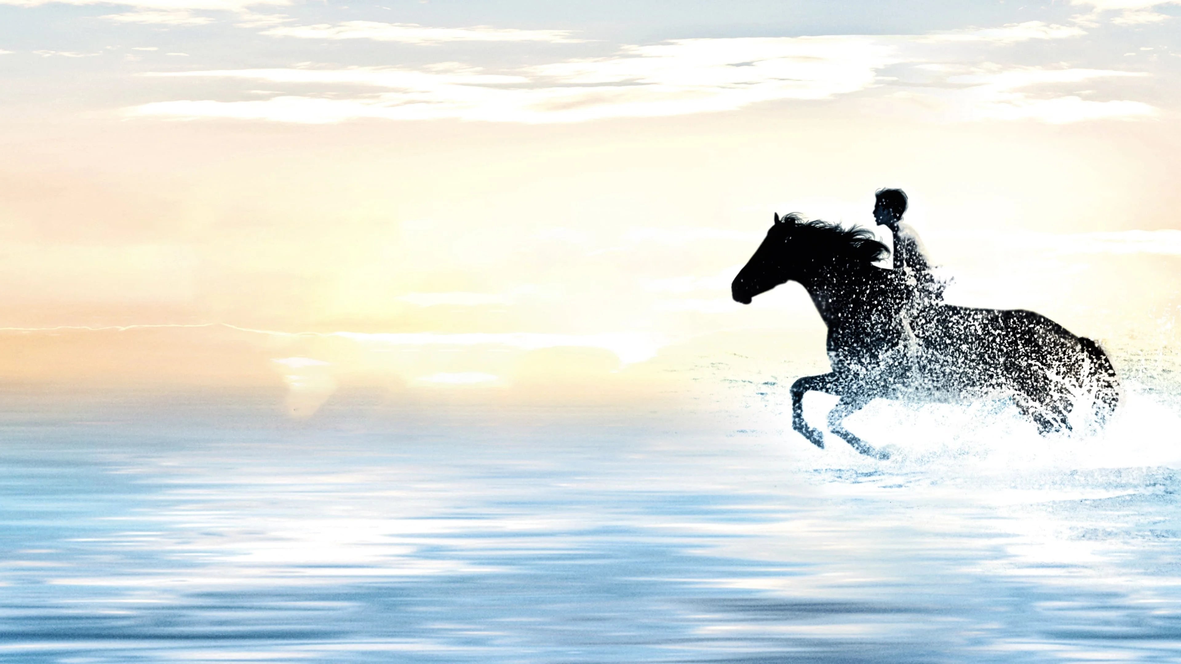 Where to buy The Black Stallion (1979) posters - Popcorn Poster Shop