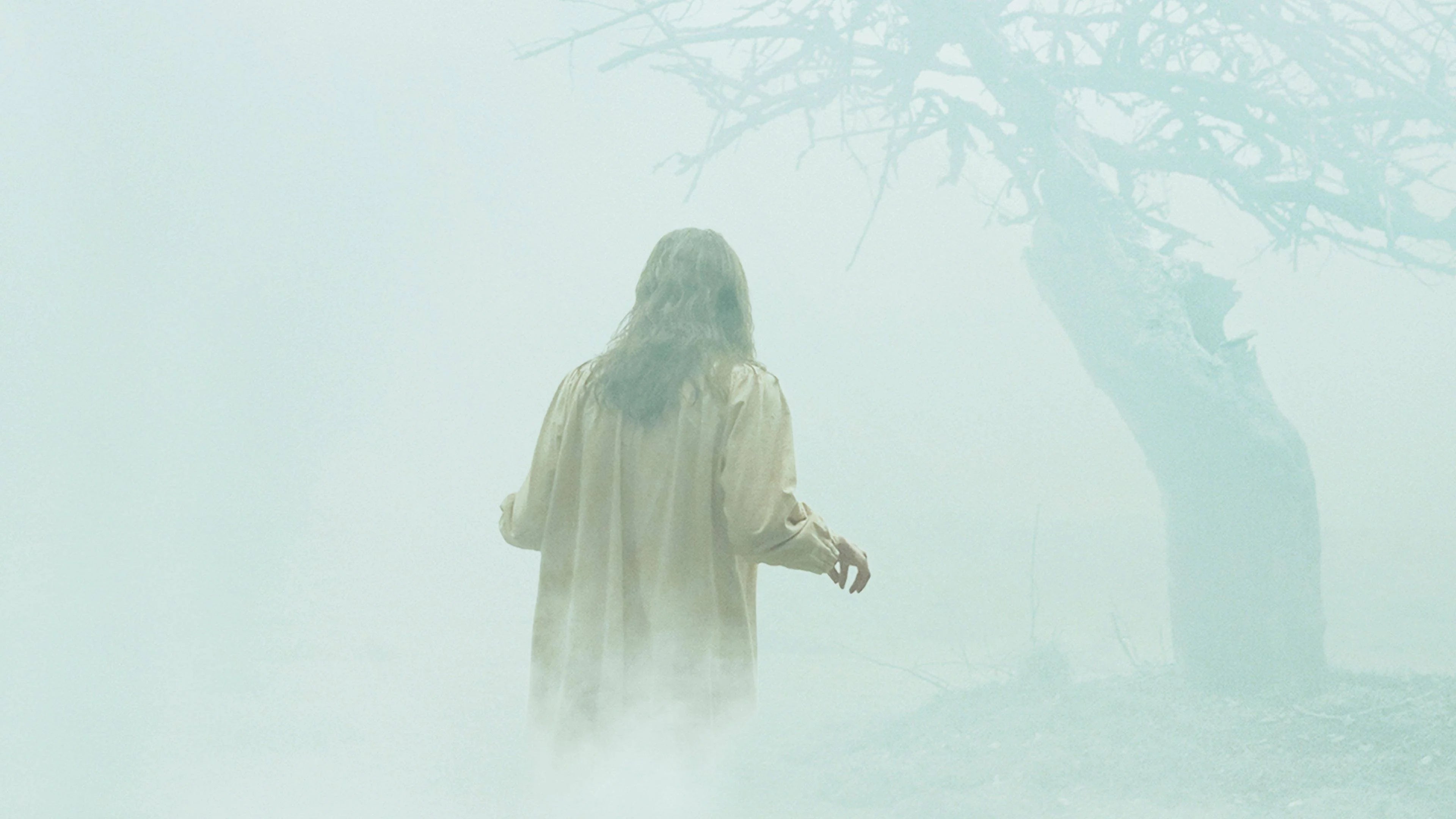 Where to buy The Exorcism of Emily Rose (2005) posters - Popcorn Poster Shop