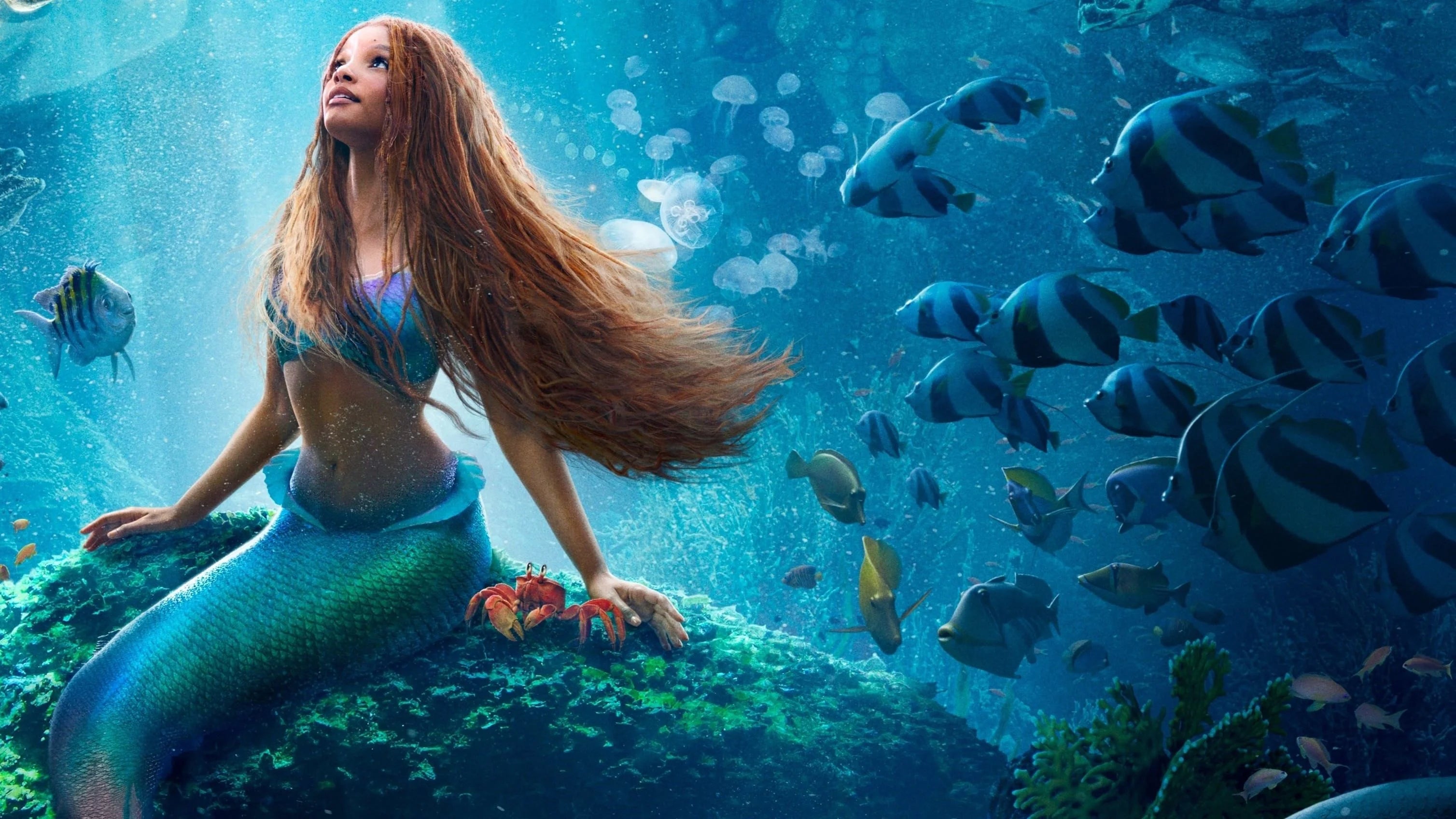 Where to buy The Little Mermaid (2023) posters - Popcorn Poster Shop