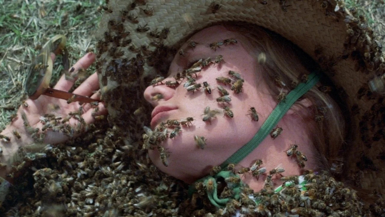Where to buy The Swarm (1978) posters - Popcorn Poster Shop